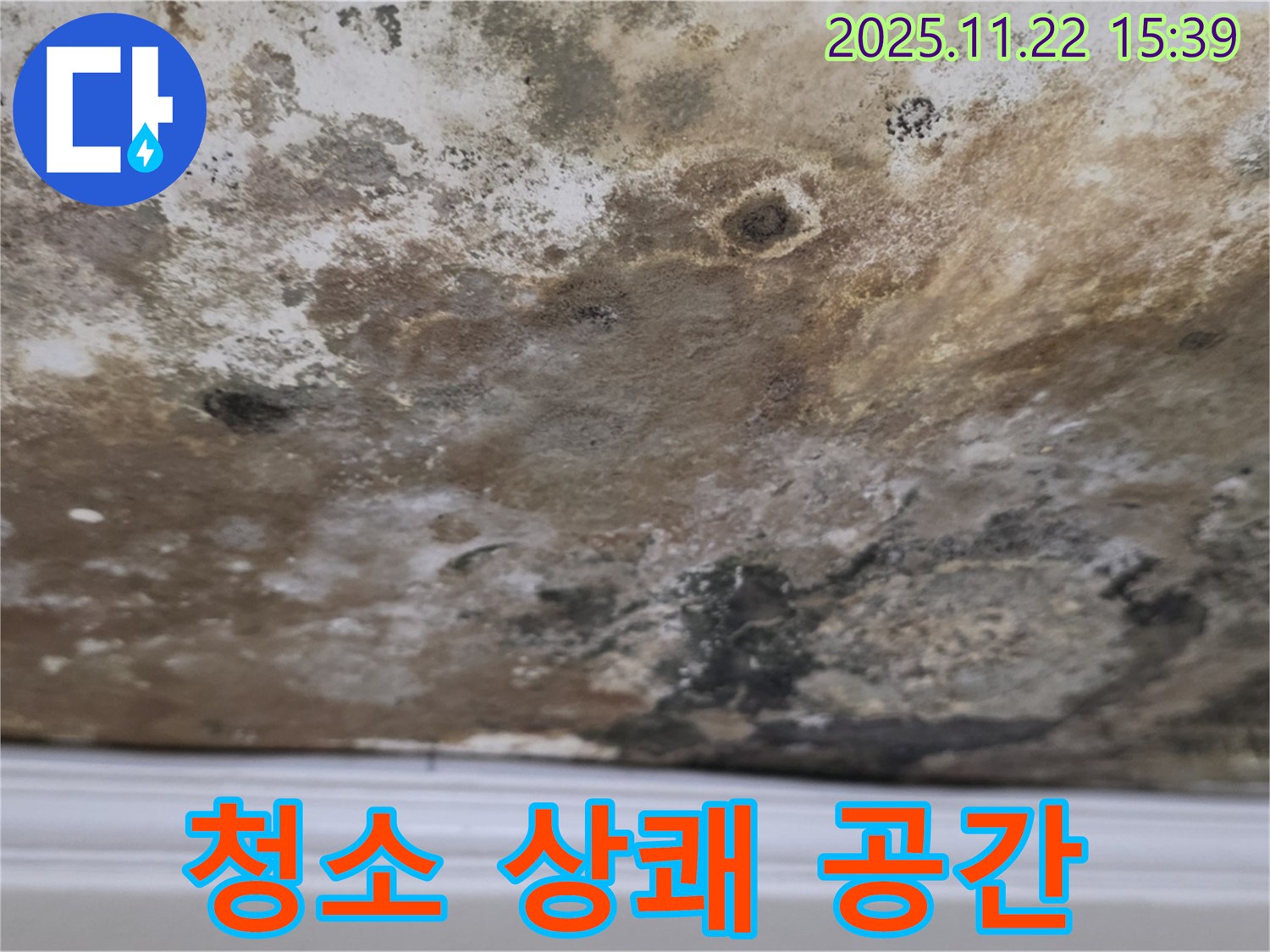 마포구 누수 - 곰팡이 천장, 깨끗하게 청소, 상쾌한 공간으로 변신