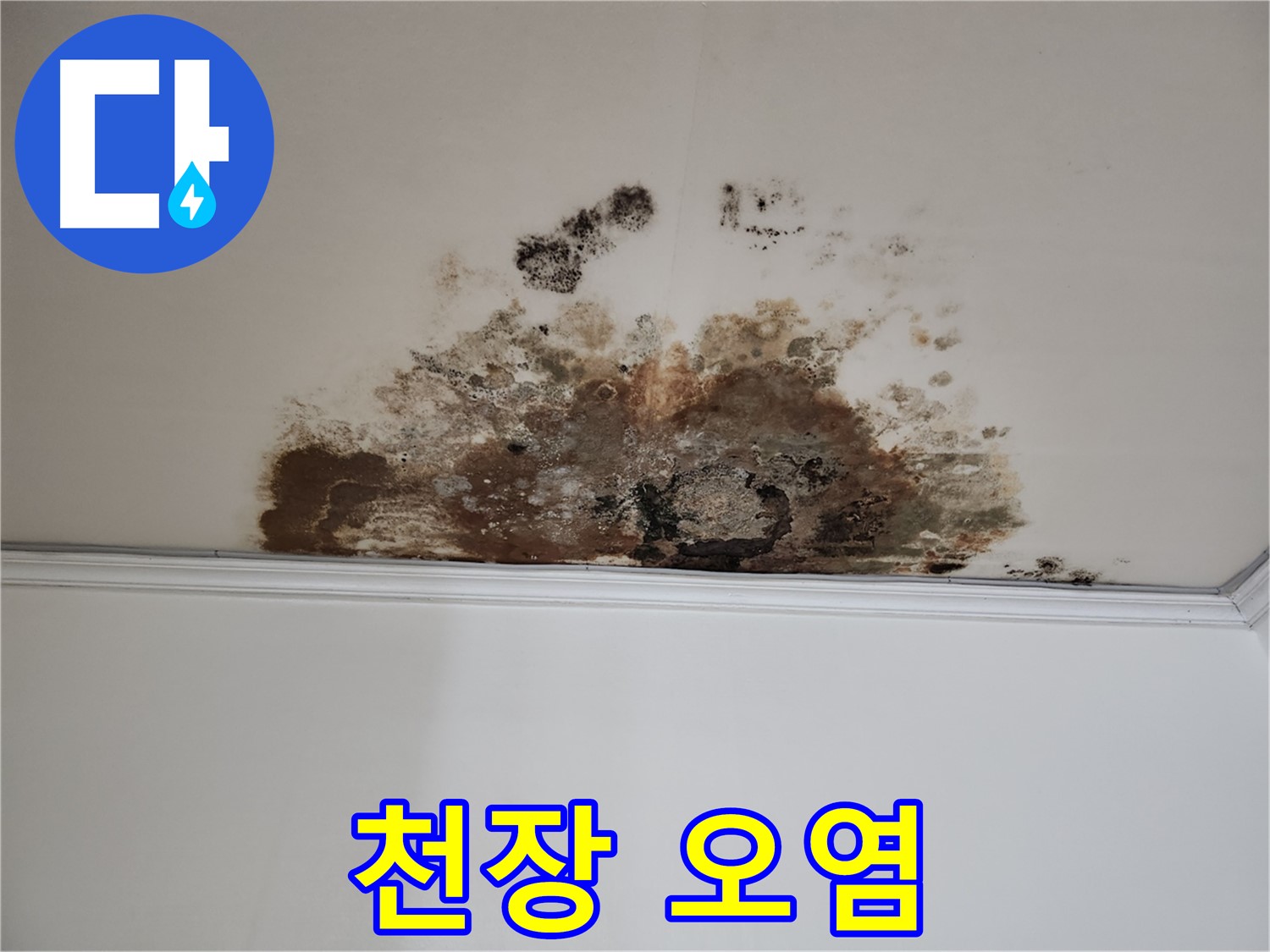 마포구 누수 - 천장 오염의 심각성