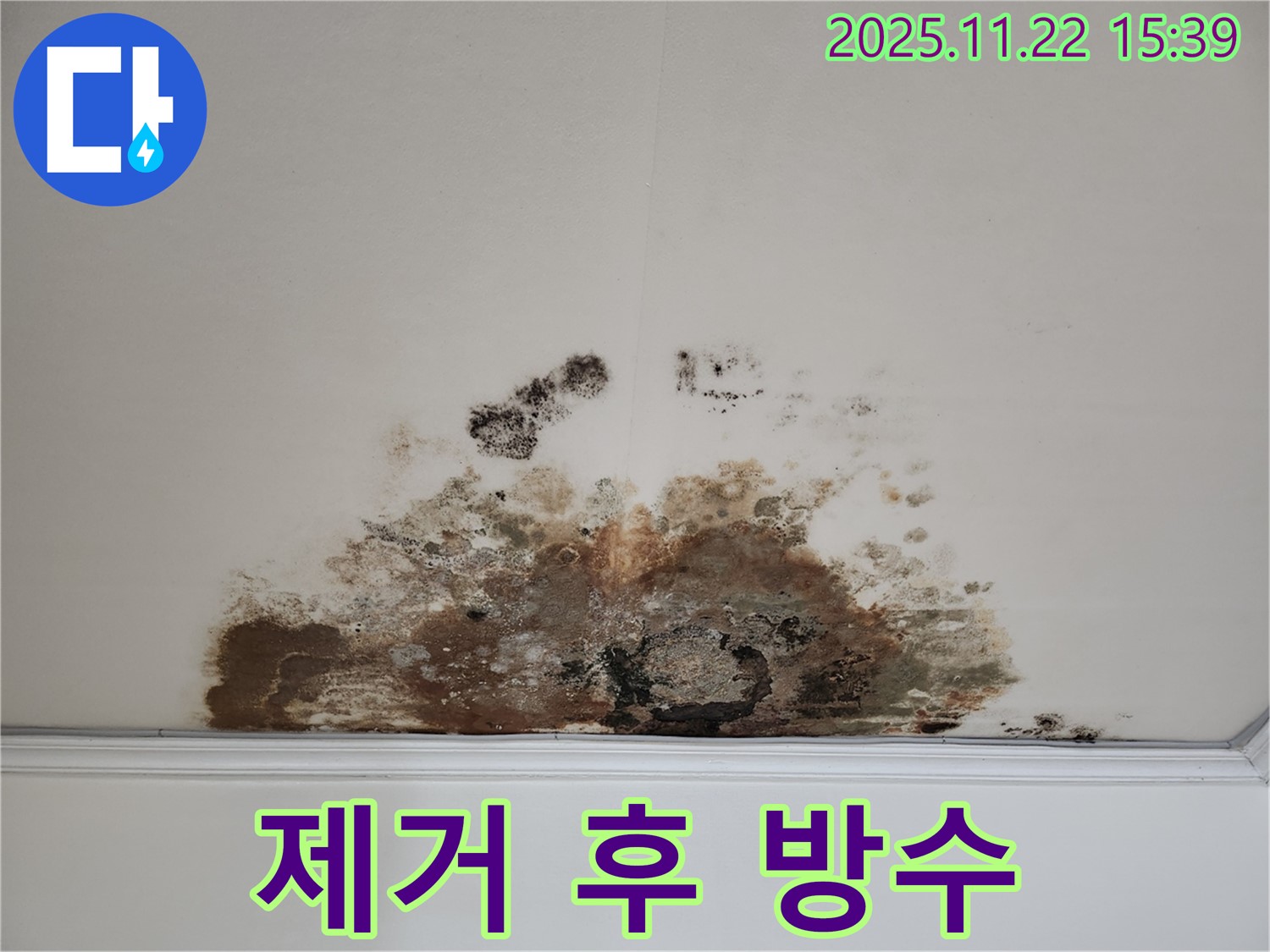 마포구 새창로 아파트 - 곰팡이 천장, 곰팡이 제거 후 완벽한 방수 시공