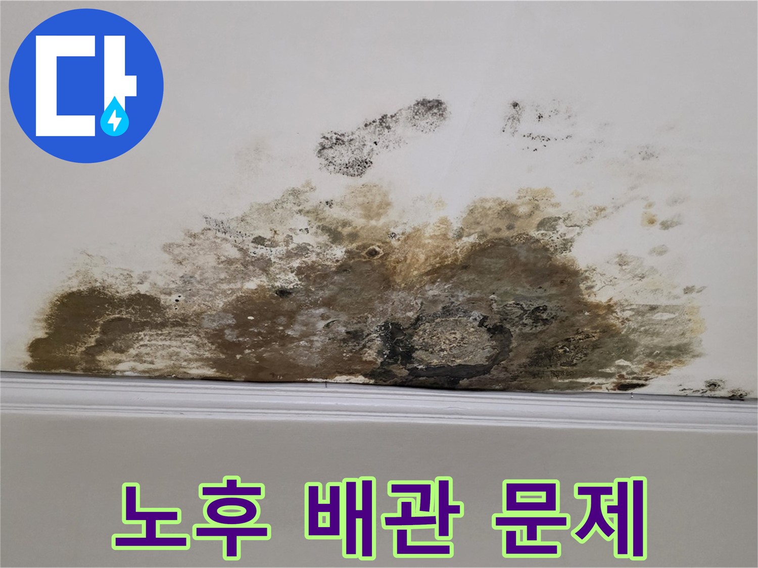마포구 용강동 현대홈타운 아파트 - 곰팡이 - 노후 배관 문제일 가능성