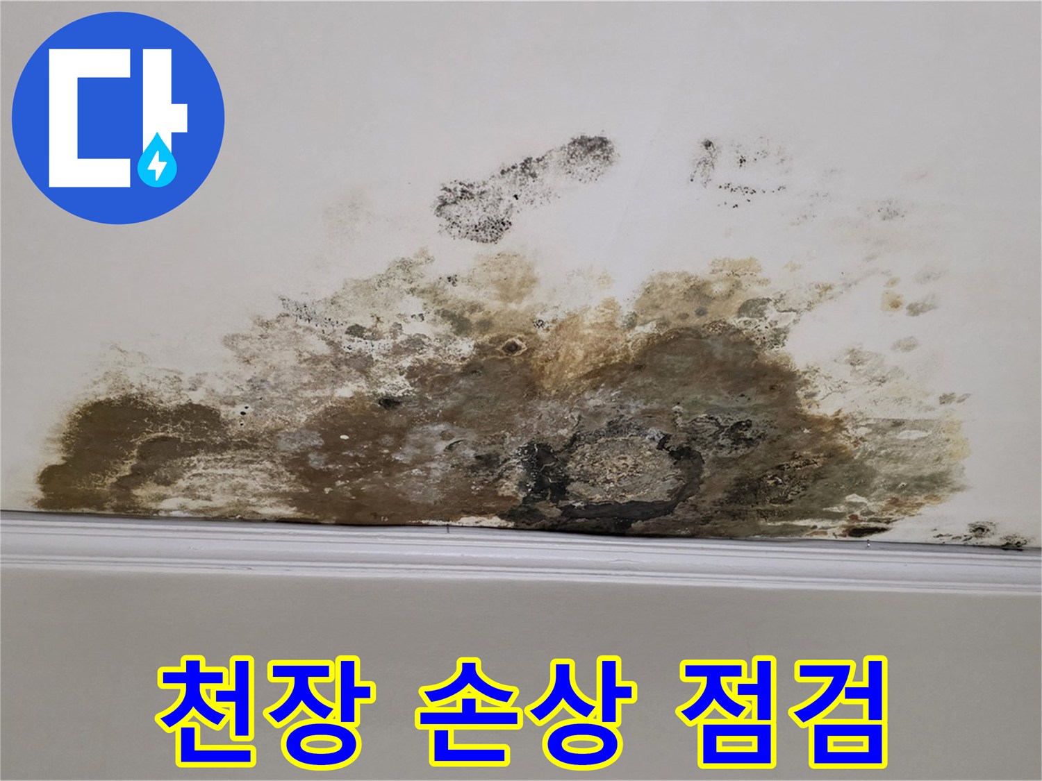 마포구 용강동 현대홈타운 아파트 - 곰팡이로 인한 천장 손상 긴급 점검