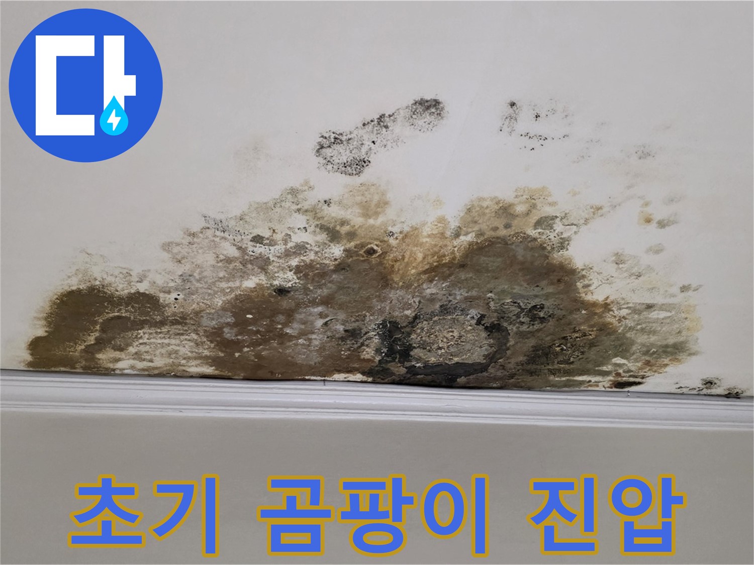 마포구 용강동 현대홈타운 아파트 - 초기 천장 곰팡이 발생 - 빠른 진압이 중요