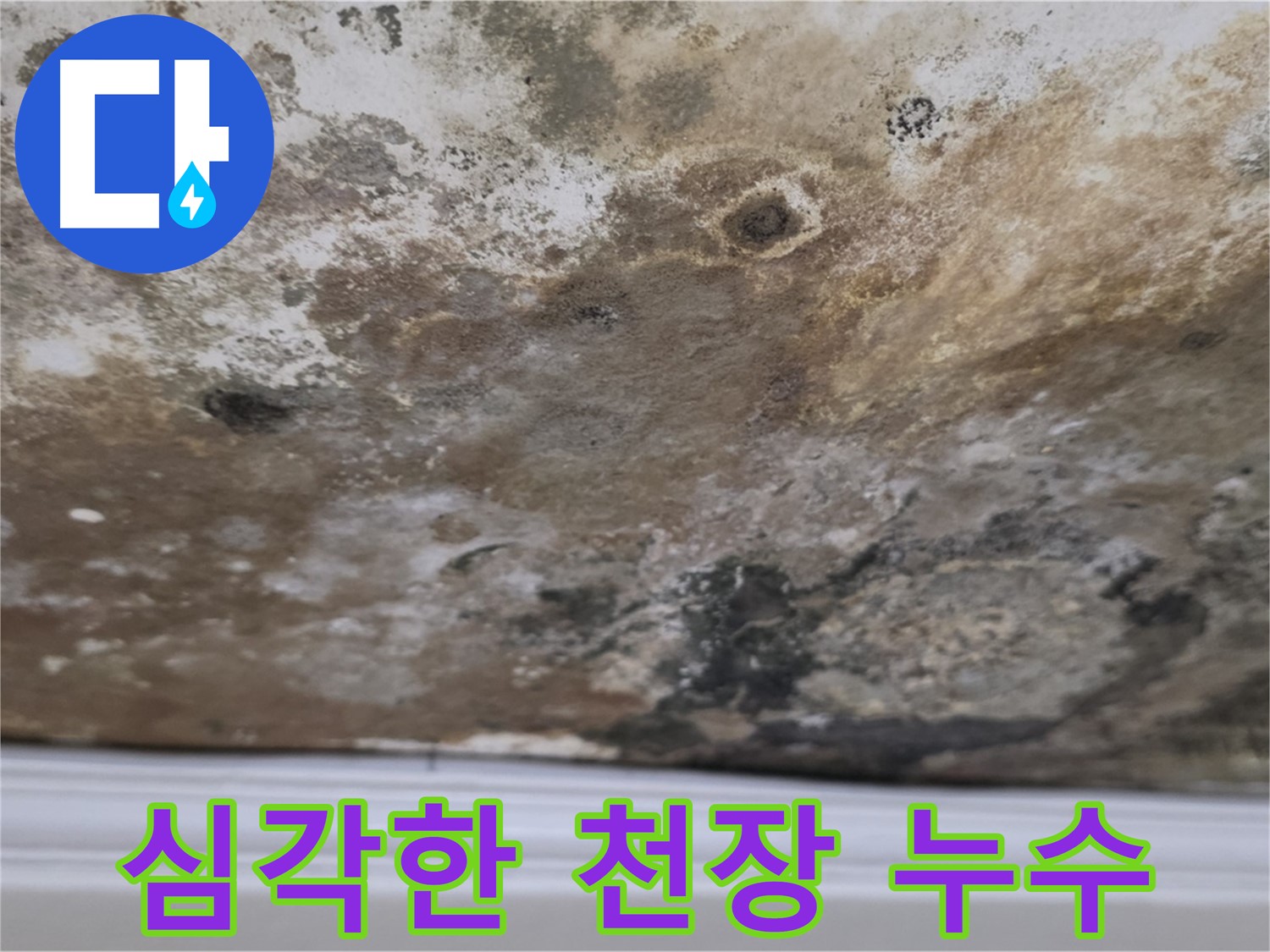 심각한 천장 누수 - 곰팡이와 함께 물이 떨어지는 상황을 보여주는 이미지입니다.