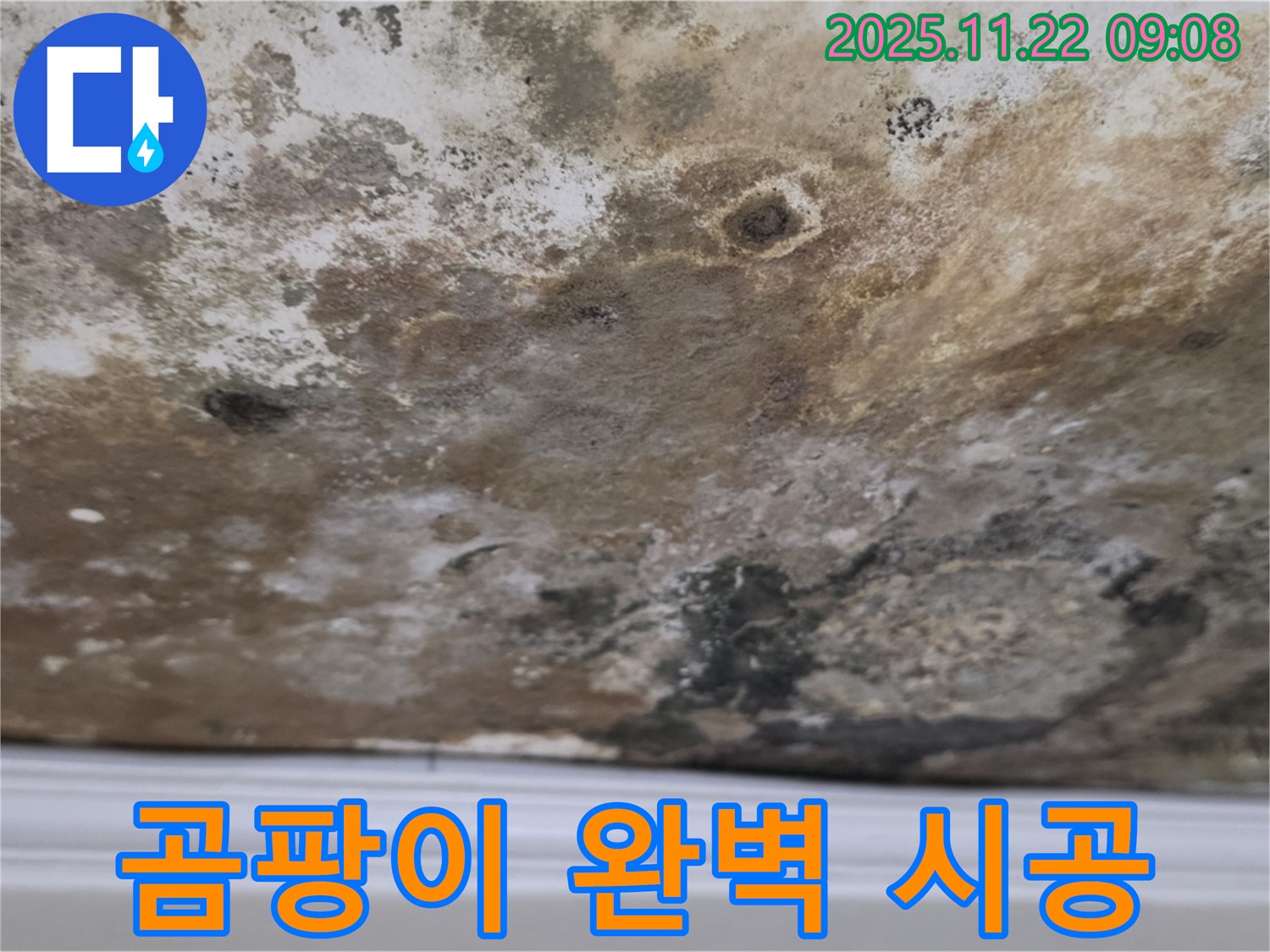 용강동 누수 - 곰팡이 천장, 긴급 점검 및 완벽 시공!