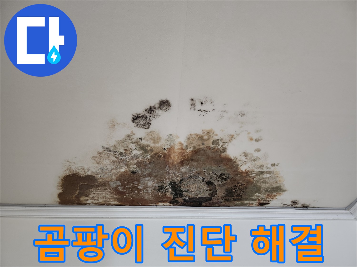 용강동 누수 긴급 - 곰팡이 천장 빠른 진단 및 확실한 해결 약속