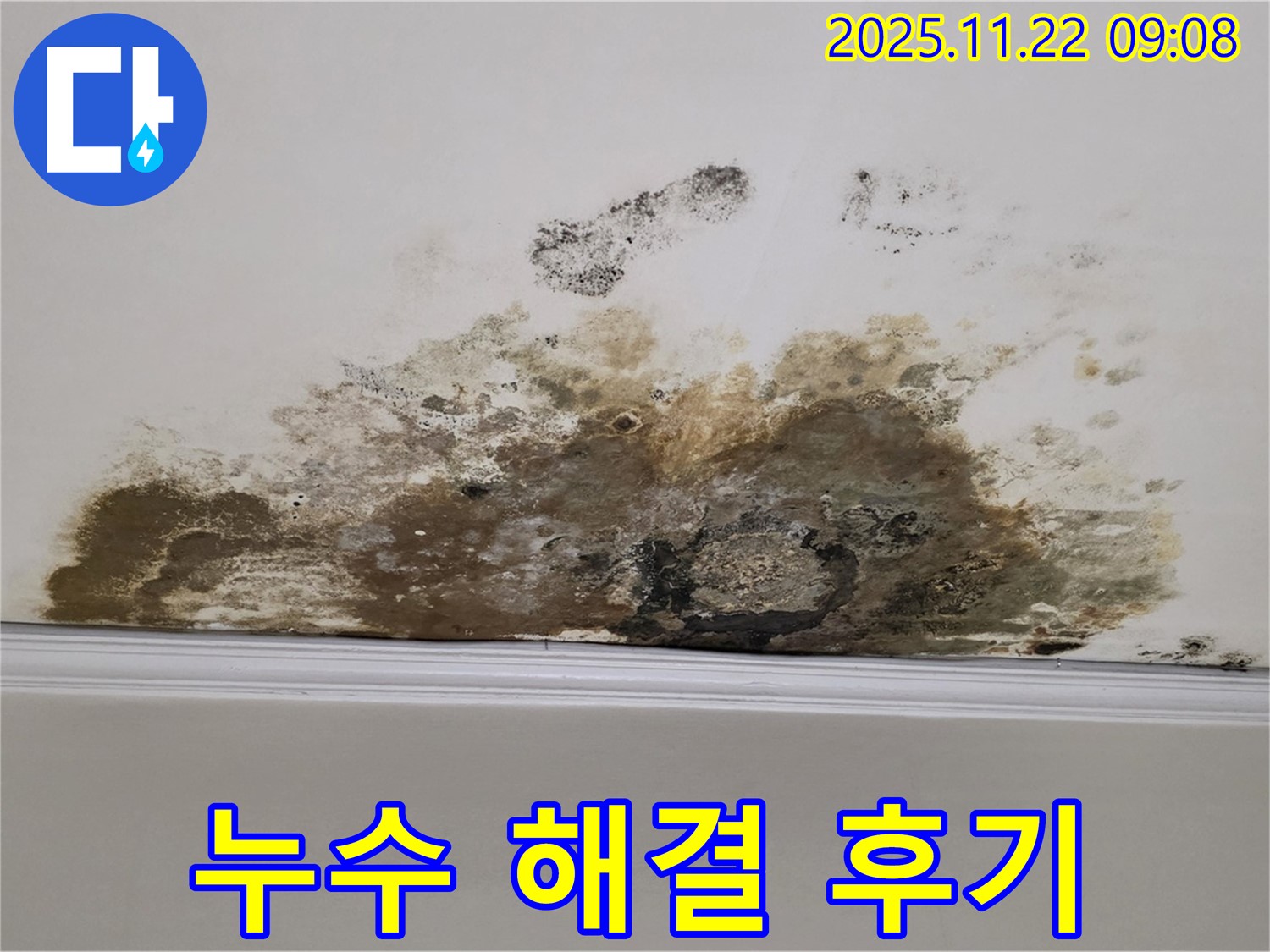 용강동 누수 해결 후기 - 천장 곰팡이 문제, 완벽한 해결로 쾌적한 공간을 되찾은 생생한 후기!