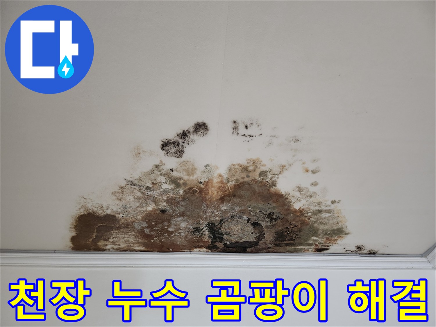 용강동 누수탐지 전문 - 곰팡이 핀 천장 완벽 해결