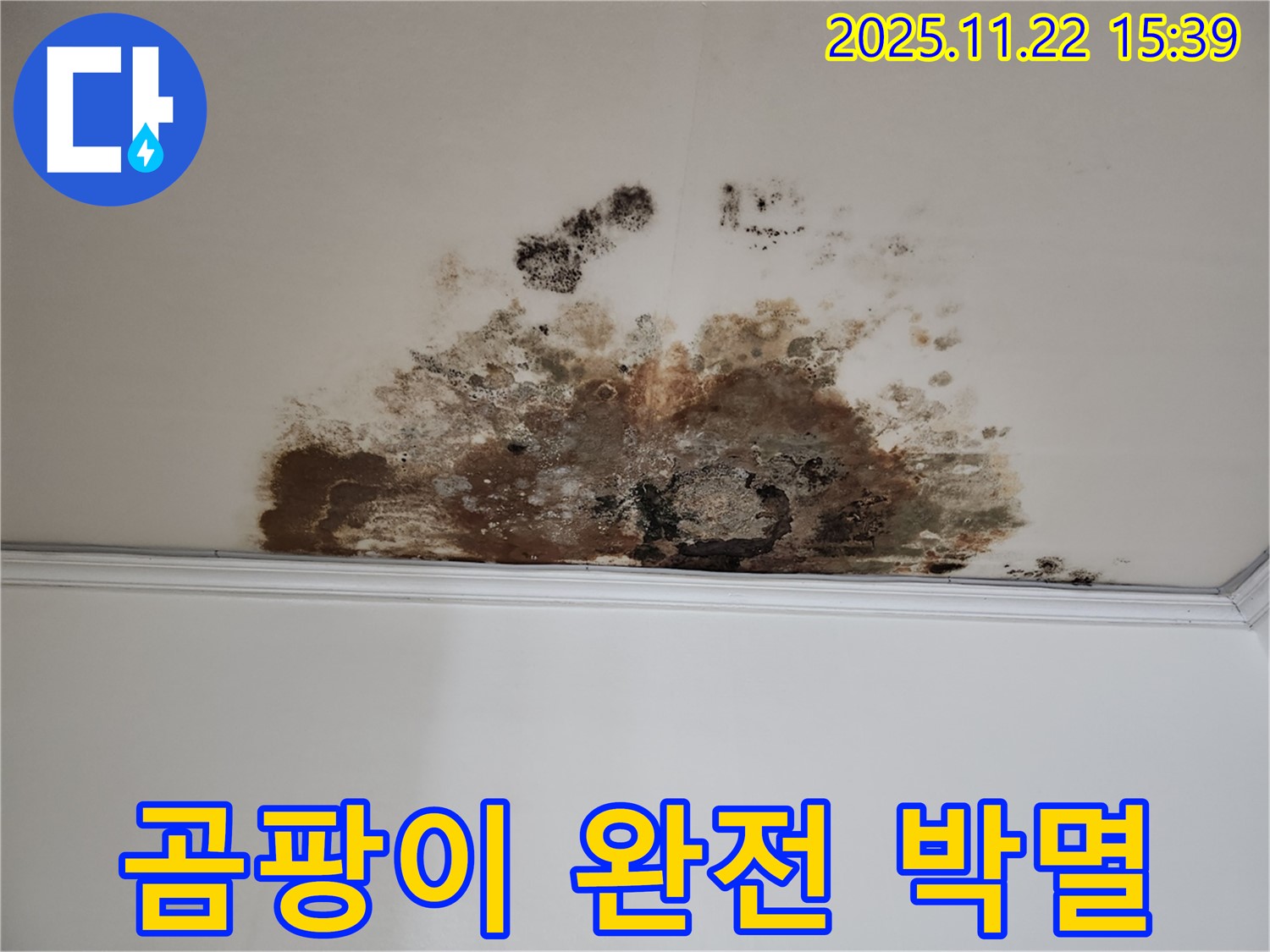용강동 아파트 새창로8길 천장 누수 - 곰팡이 완전 박멸, 고객 만족 후기