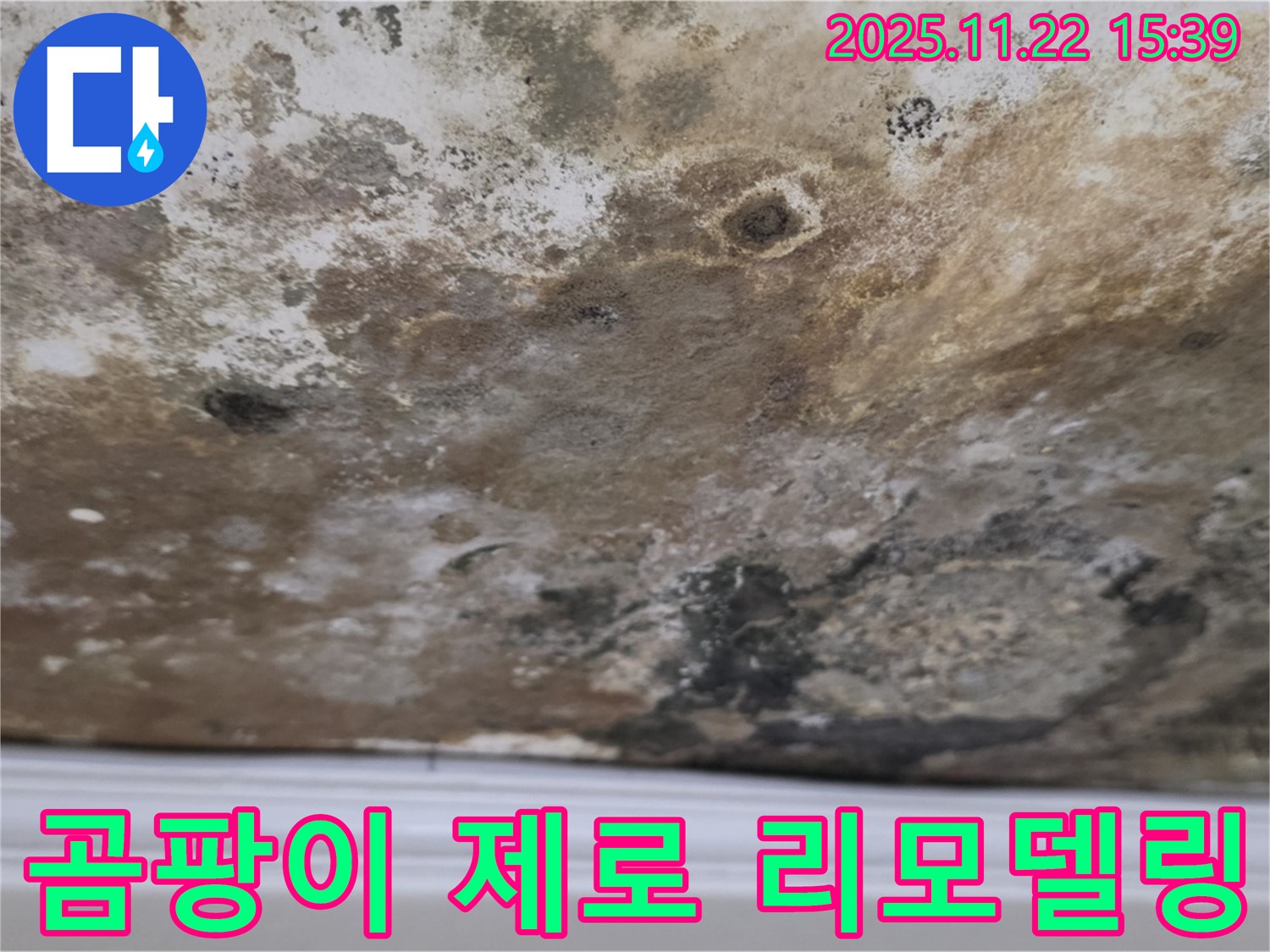 용강동 현대홈타운 - 곰팡이 제로, 뽀송한 천장으로 리모델링!