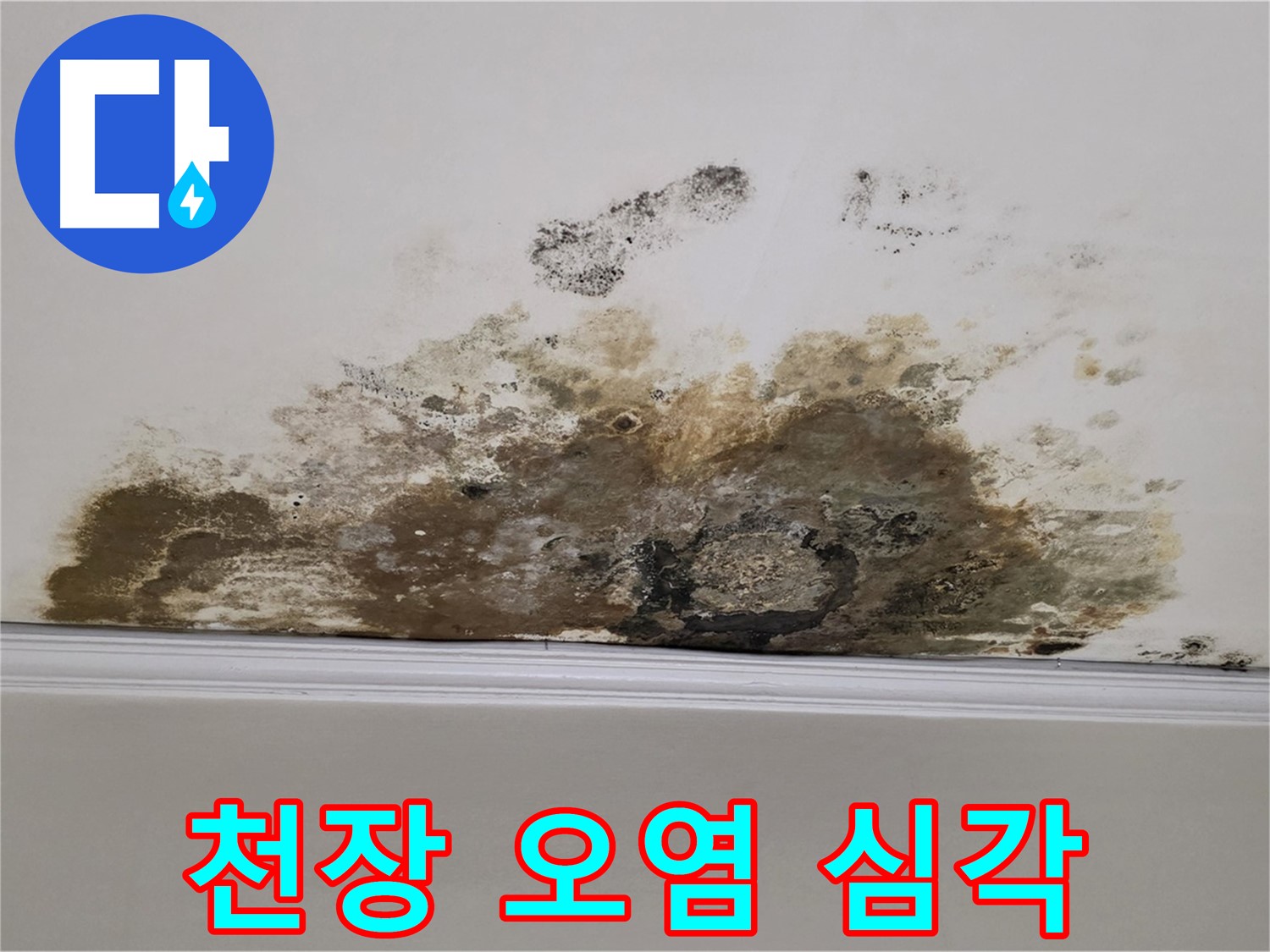 용강동 현대홈타운 아파트 누수 - 곰팡이 - 심각한 천장 오염 - 빠른 해결이 중요