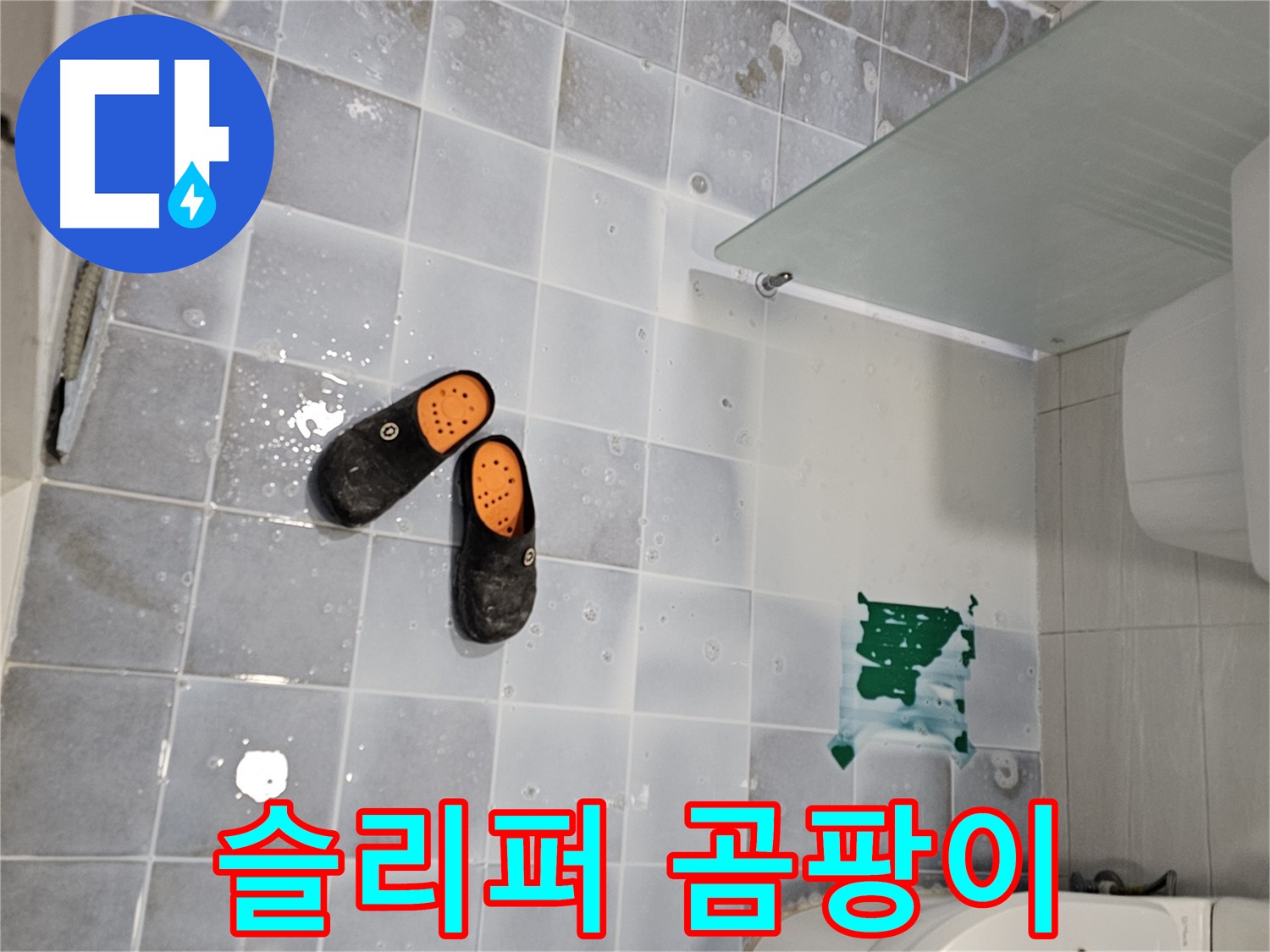 도화동 현대1차 아파트 누수 - 젖은 화장실 슬리퍼, 곰팡이 번식의 온상이 될 수 있습니다!