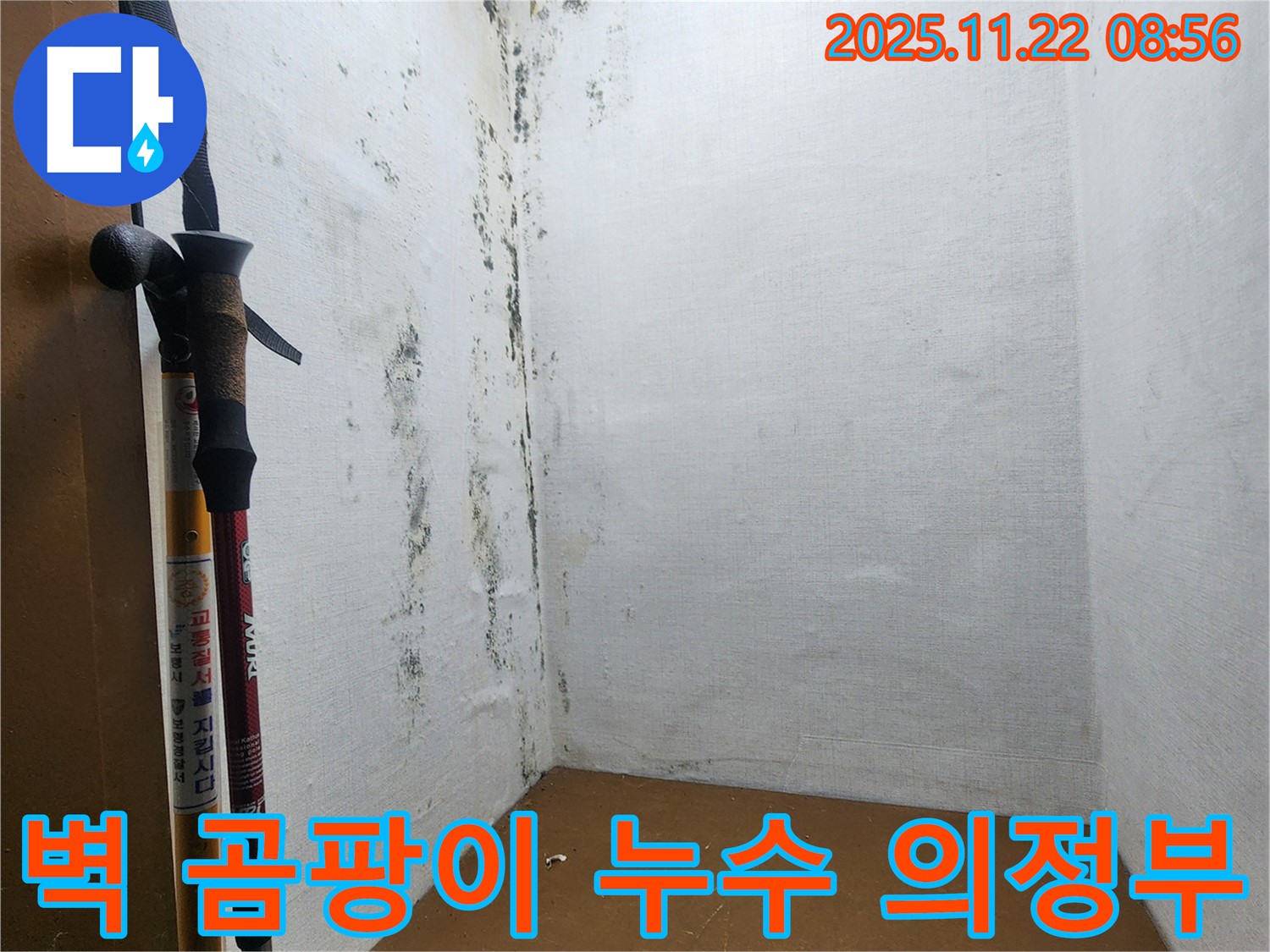 의정부 신곡동 벽 곰팡이 누수 현장 - 곰팡이 발생 원인과 누수 탐지 과정