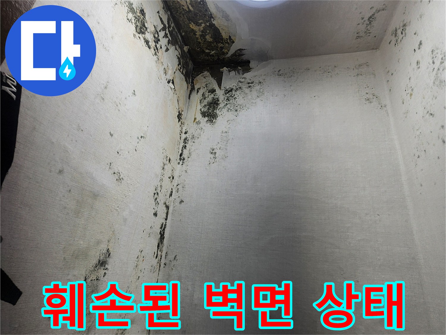 의정부 신곡동 작업현장-곰팡이가 번진 다용도실 벽체