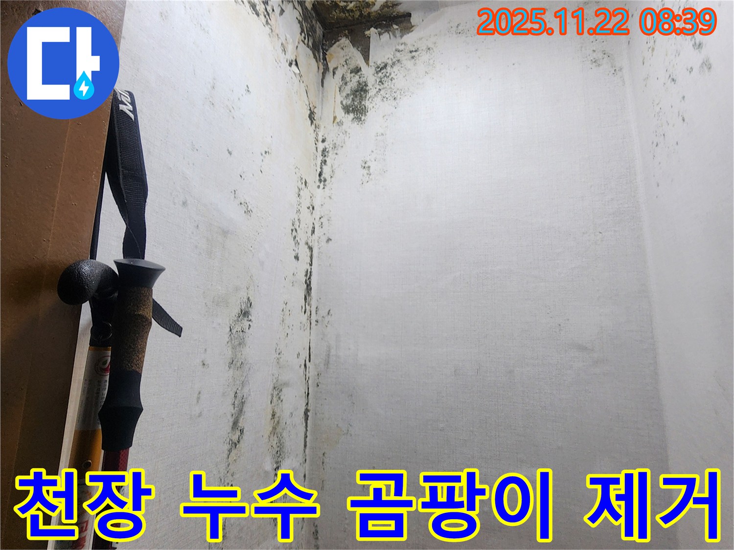 의정부 신곡동 천장 누수 - 곰팡이 제거 전후 사진으로 누수 해결 과정을 보여줍니다.