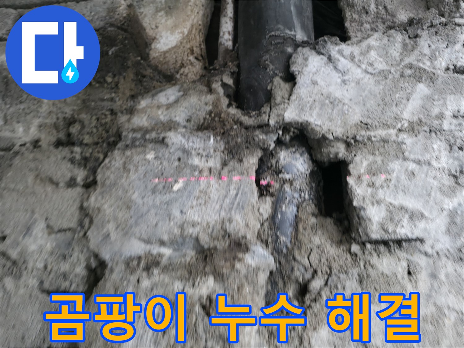 서초동 누수 - 벽에 핀 곰팡이, 누수 때문에 발생한 문제, 확실하게 해결해 드립니다.