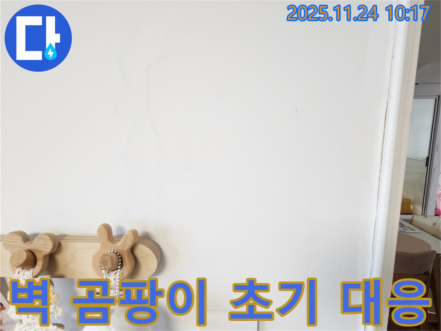 벽에 곰팡이가 핀 사진 - 포천시 가산면 금현리 누수탐지 전문가가 벽에 곰팡이가 핀 경우 초기 대응의 중요성을 강조합니다.