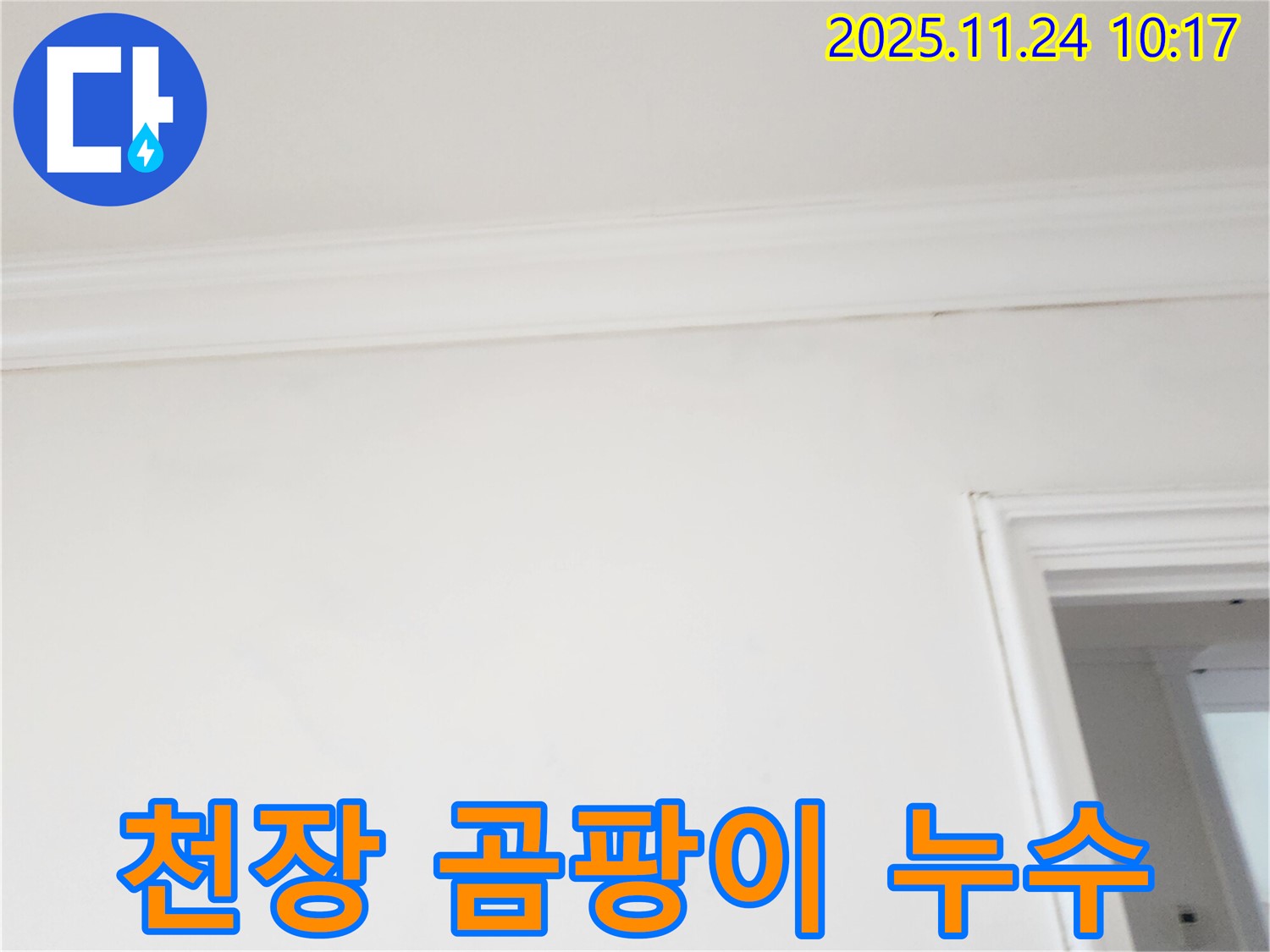 포천 가산면 주택 천장 몰딩 곰팡이 발생 - 누수 원인 제거와 함께 곰팡이 제거 작업 진행