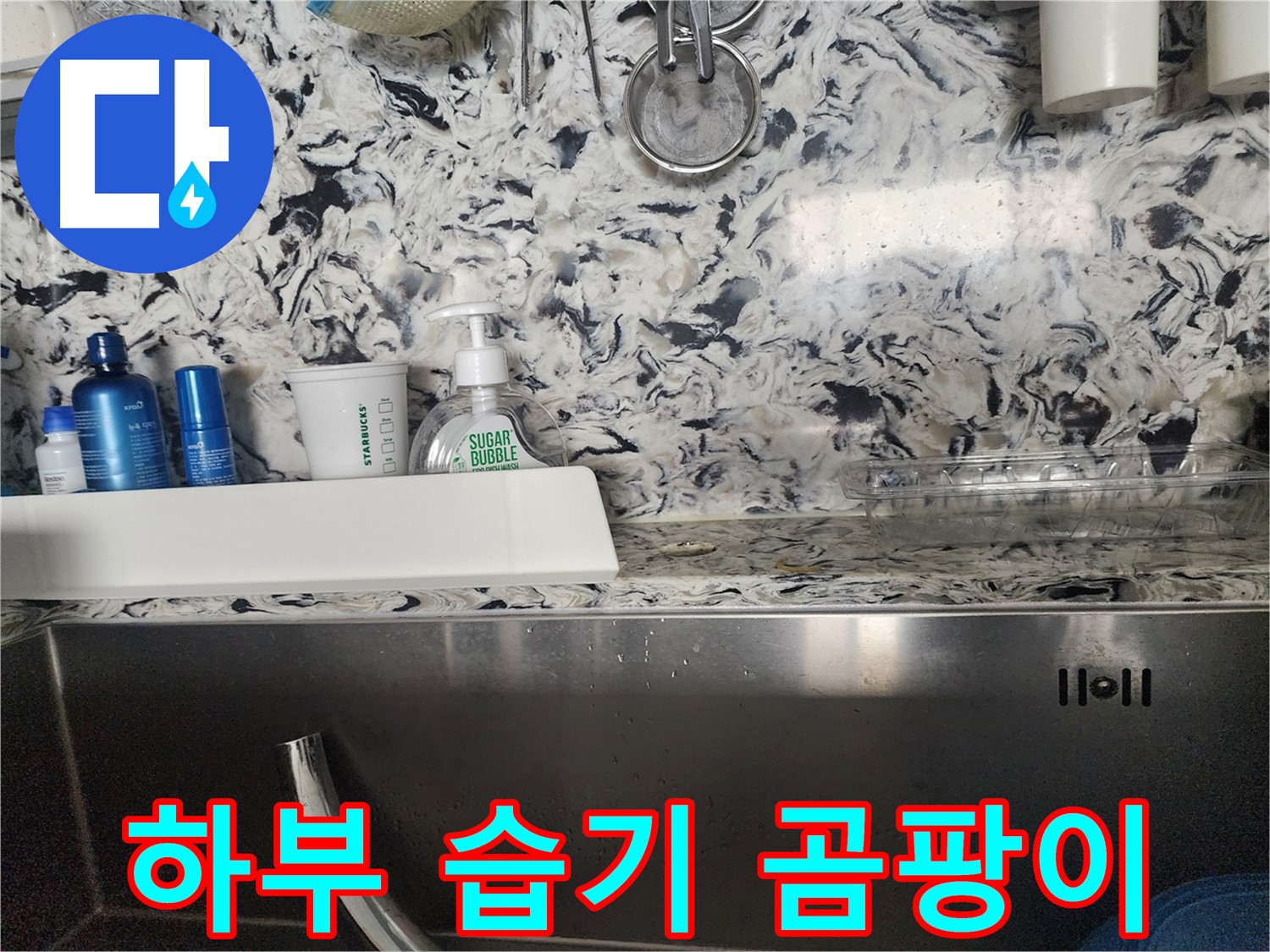 싱크대 하부 습기 및 곰팡이 - 분당구 대장동 주택에서 발생한 문제 해결
