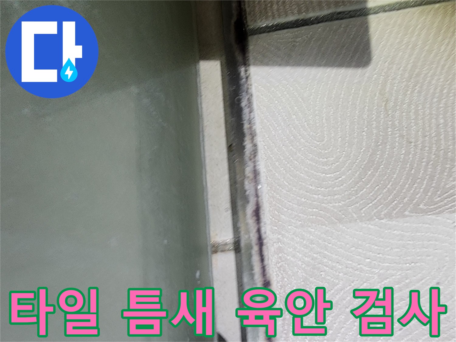 광교 e편한세상 아파트 누수 - 타일 틈새 육안 검사 중 곰팡이 발견