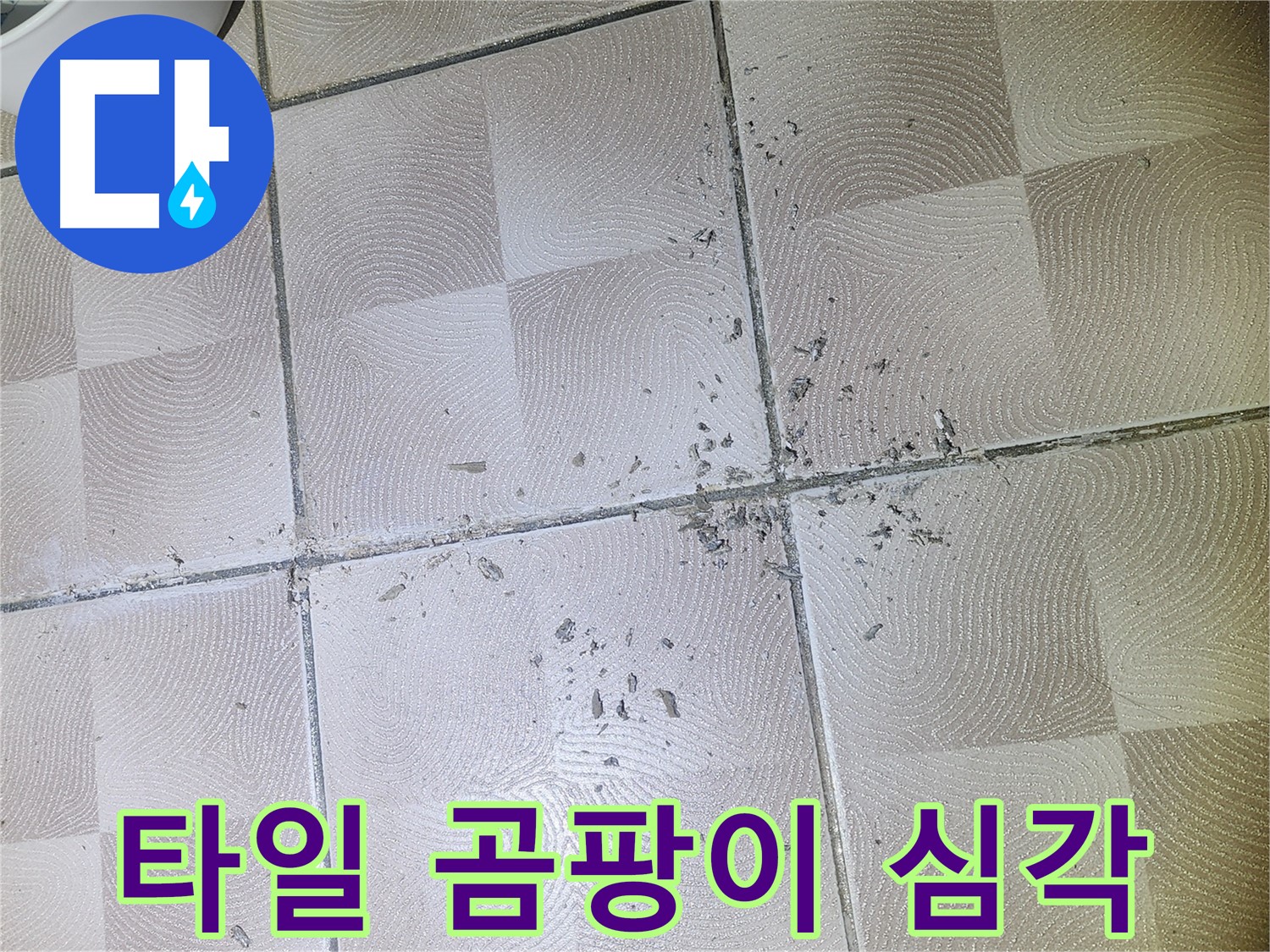 수원 e편한세상 광교 누수 - 깨진 타일 주변 백시멘트 가루 및 곰팡이 발생 매우 심각
