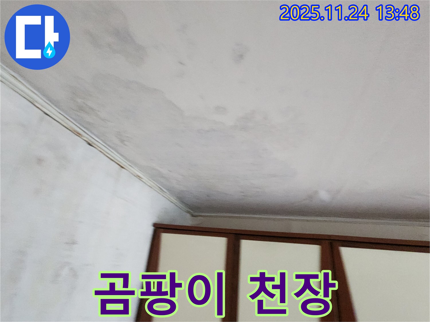 가산면 마전리 주택 - 곰팡이 꽃핀 천장, 건강 적신호