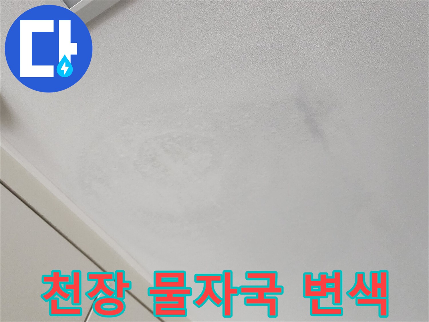 가산면 현장 기록-천장 벽지에 나타난 침수 흔적과 얼룩