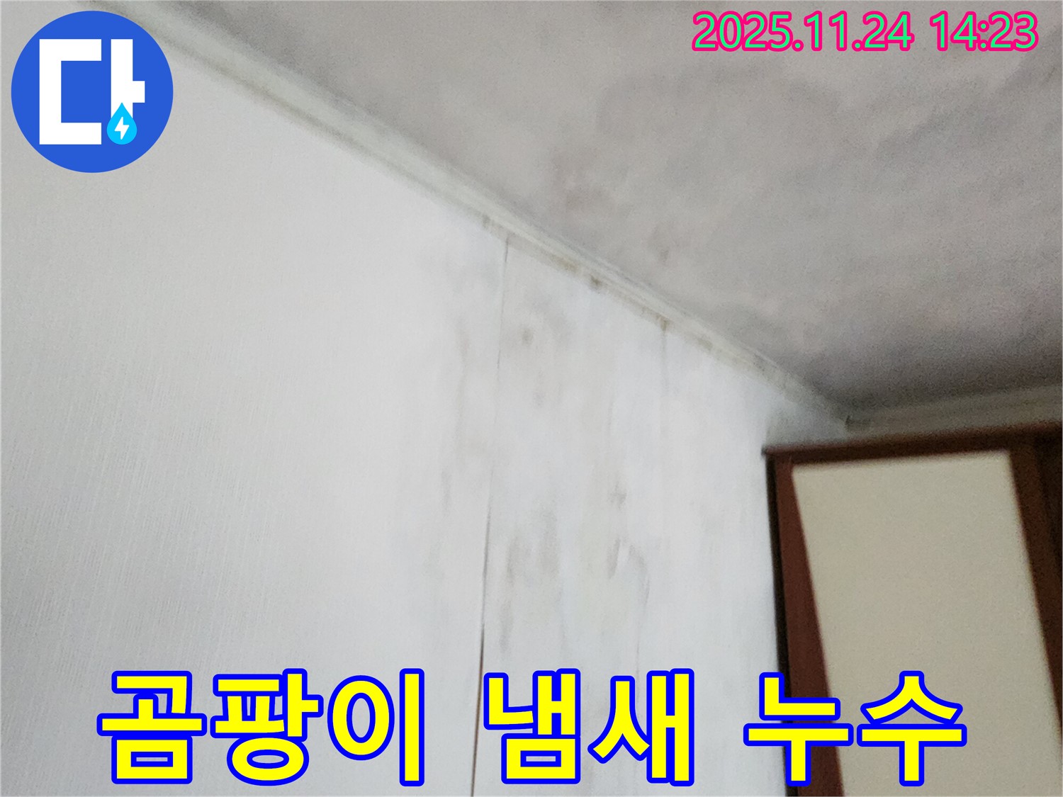 곰팡이 냄새 - 누수와 함께 곰팡이가 발생하여 불쾌한 냄새가 나는 상황입니다 - 누수 해결과 냄새 제거가 시급합니다.