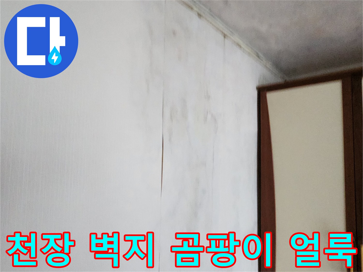 포천 가산면 현장의 천장 상단부 곰팡이와 벽지 오염 상태
