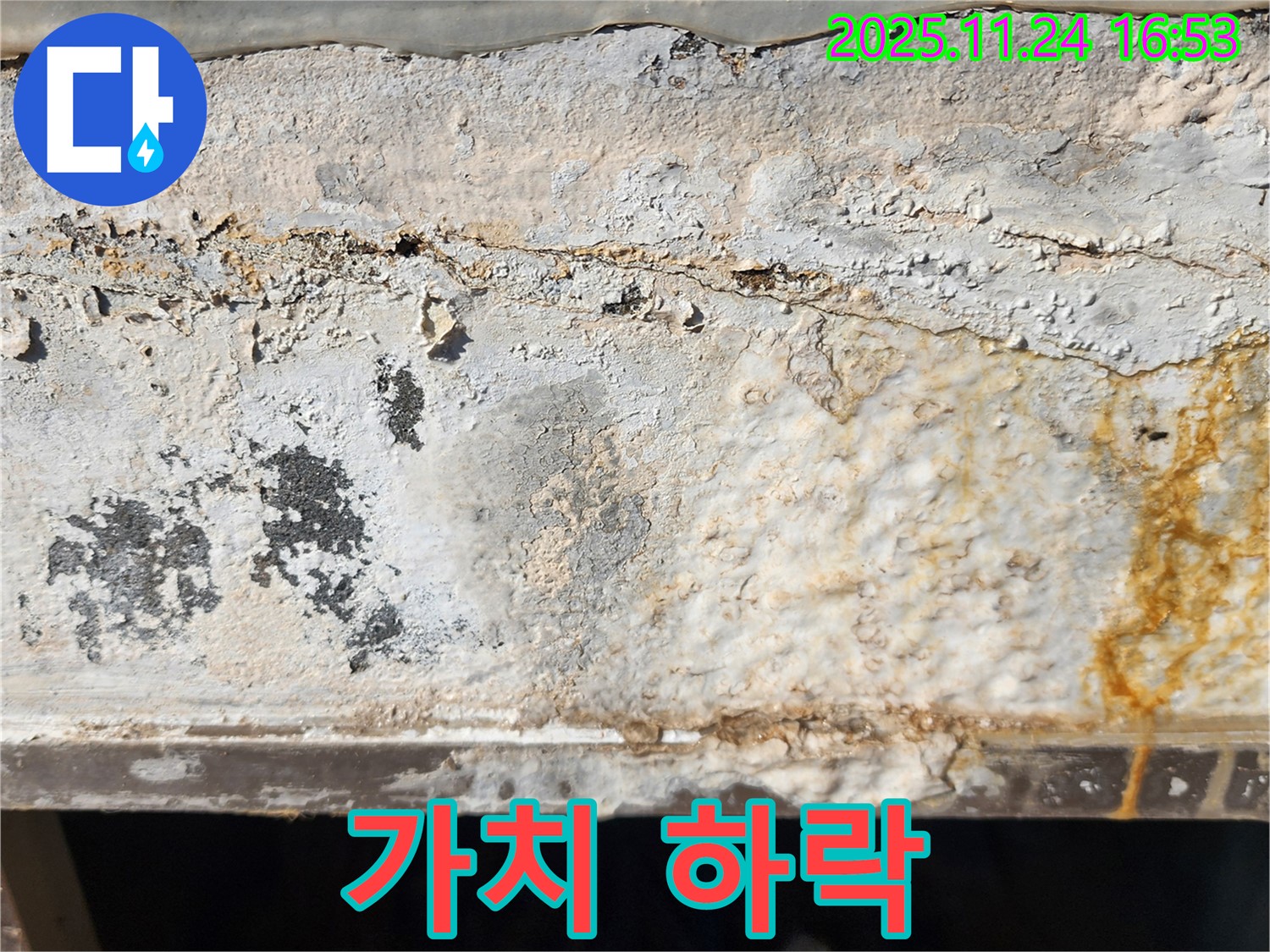 벽면 손상 - 얼룩과 벽면 손상 - 부동산 가치 하락