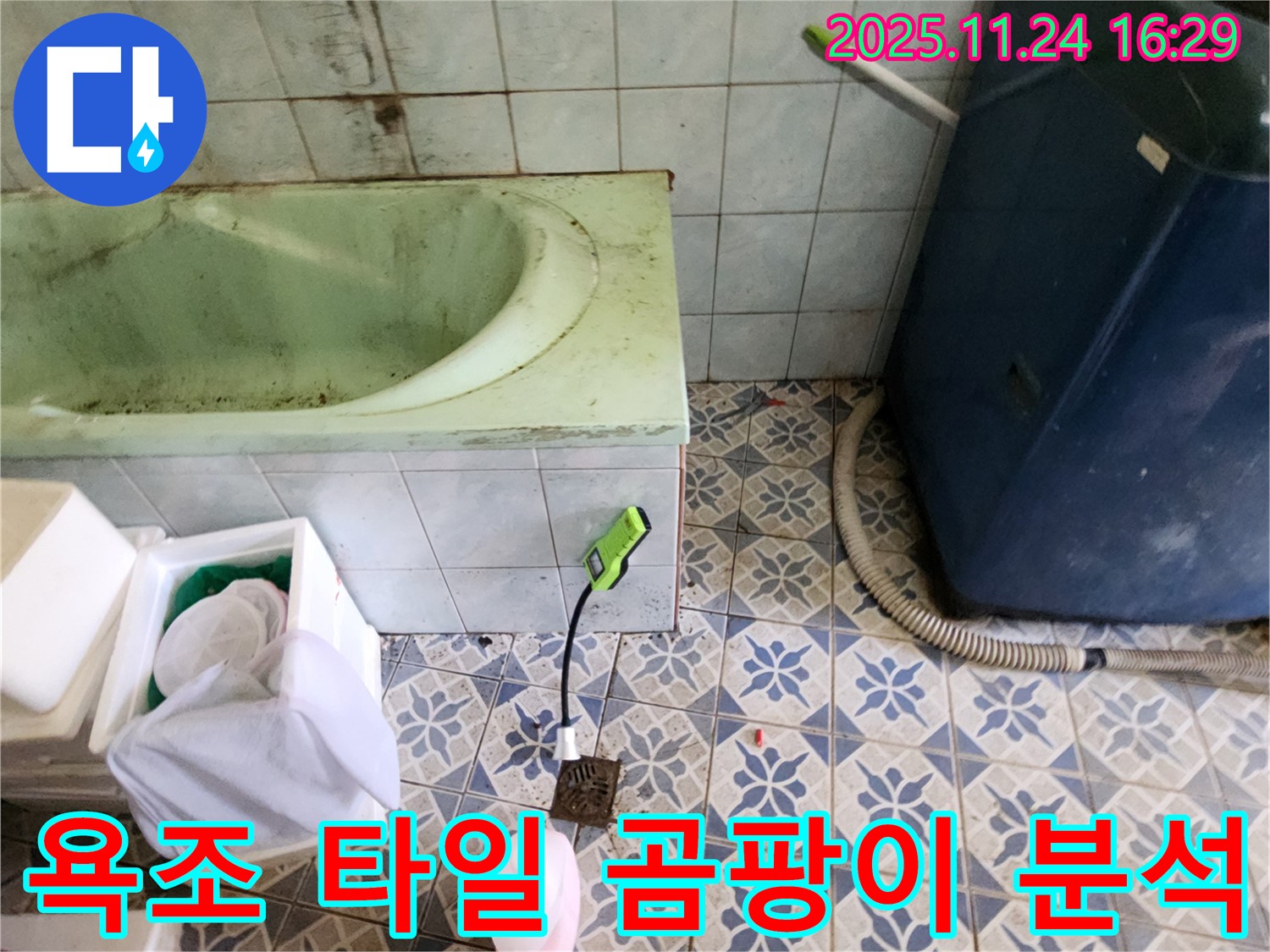 포천 신북면 - 욕조 주변 타일 곰팡이 - 누수와의 연관성을 정밀하게 분석하고 있습니다.