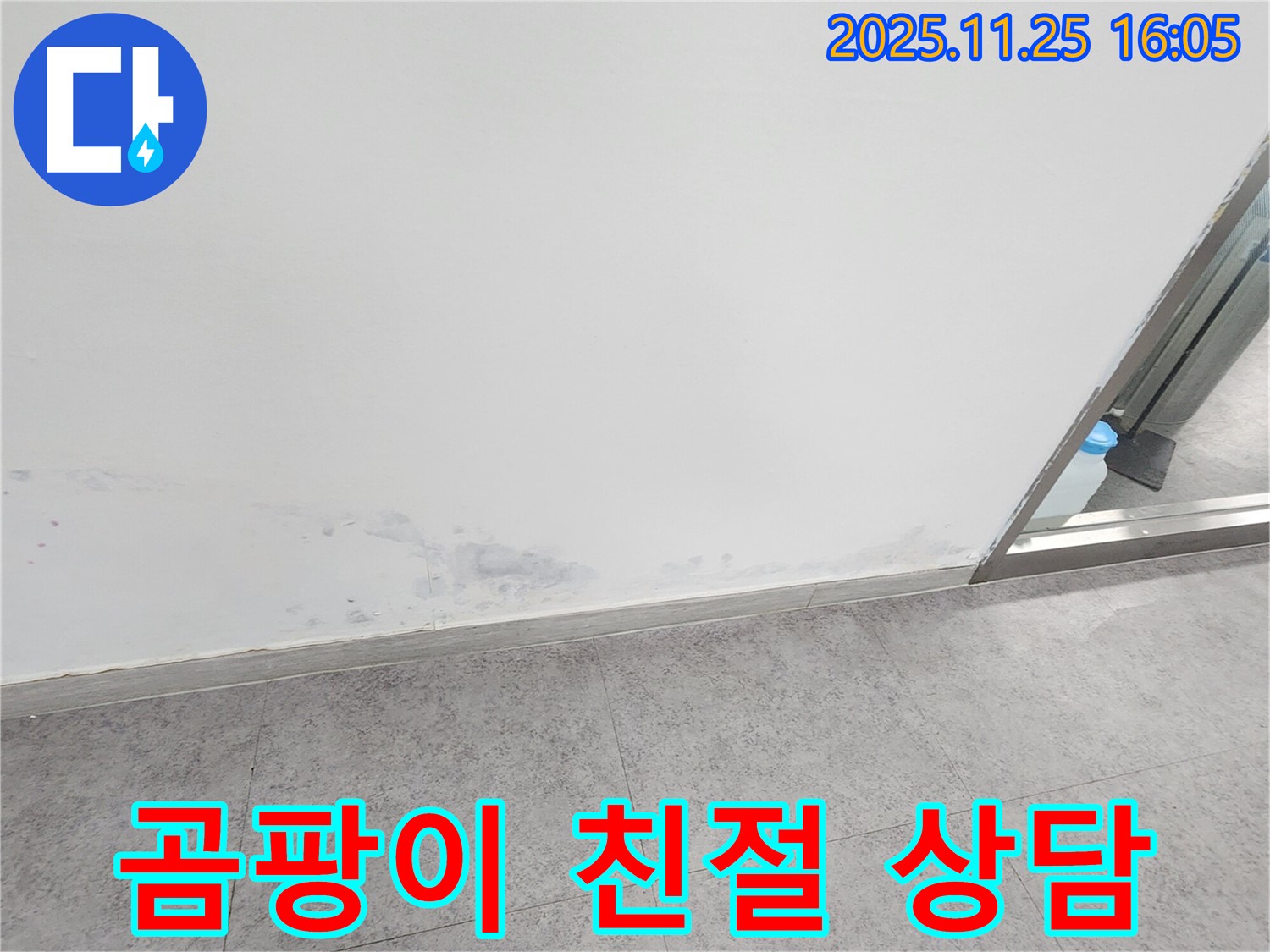 경기도 포천시 누수 상담 - 곰팡이 문제, 친절하고 상세한 상담 제공