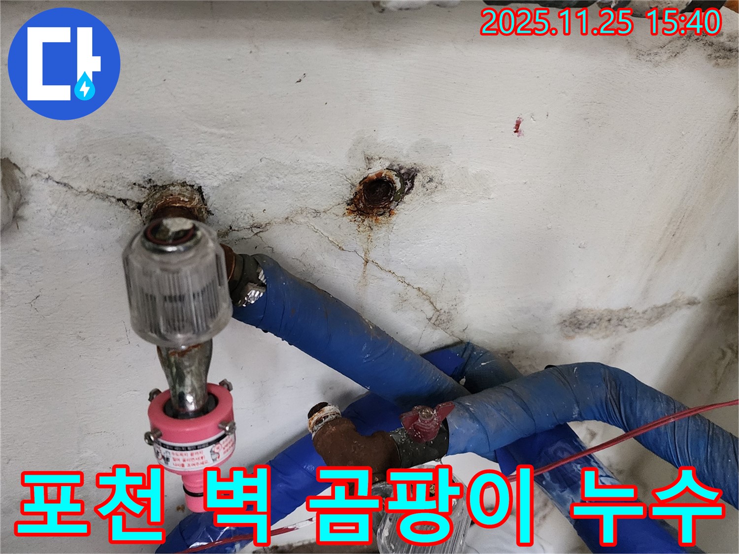 포천시 신북면 만세교리에서 벽에 생긴 곰팡이 - 누수를 의심하고 전문가에게 문의하세요!
