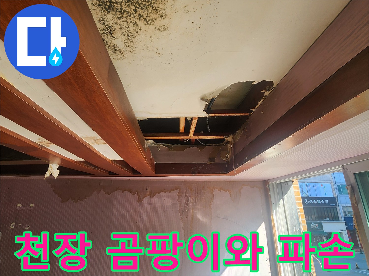 천장-상단에-퍼진-검은-곰팡이와-파손된-석고보드