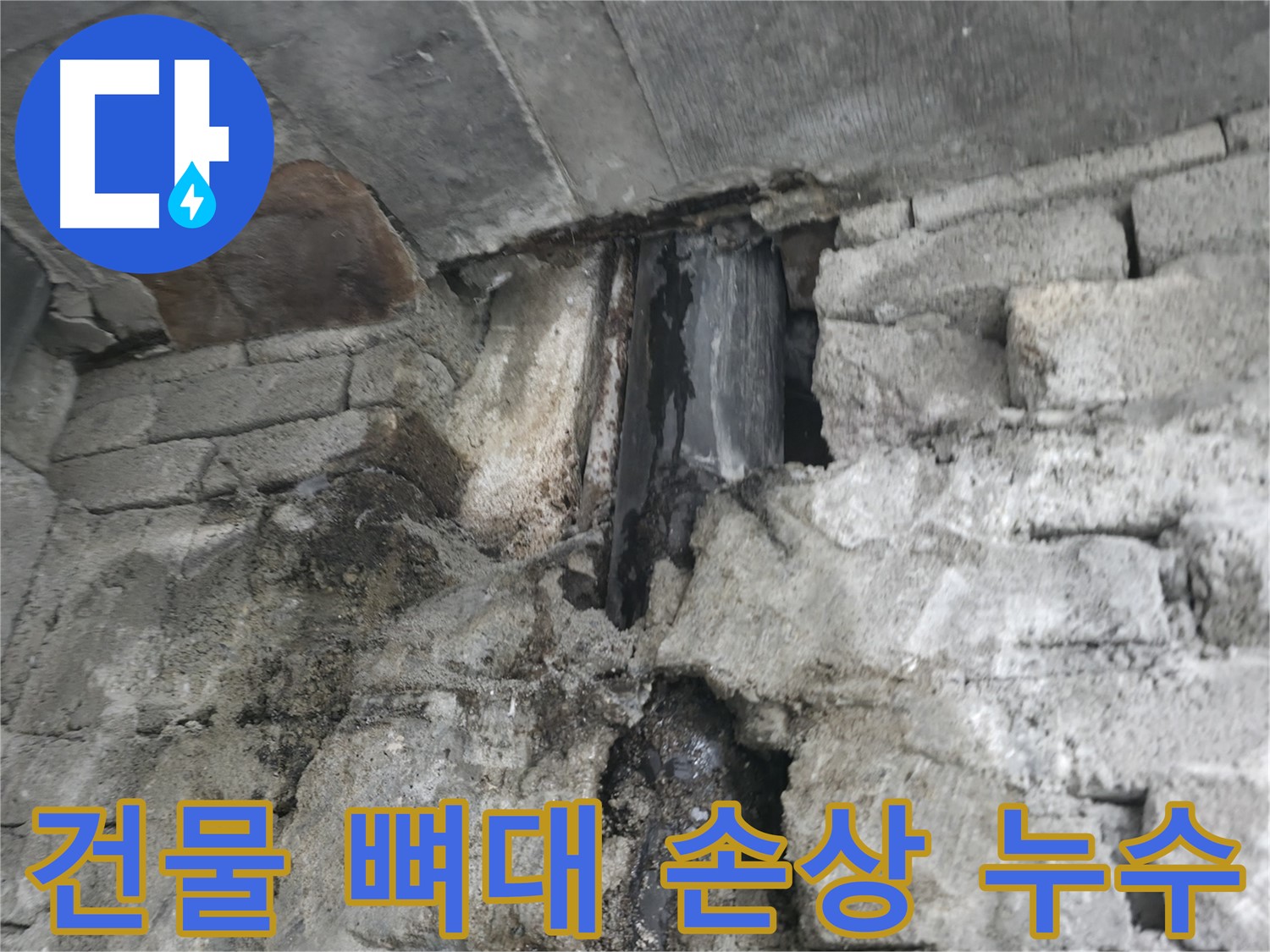 건물 뼈대를 손상시키는 누수 - 숨겨진 누수로 인해 건물 뼈대가 손상되고 있습니다 - 조기 발견과 신속한 조치가 중요합니다.