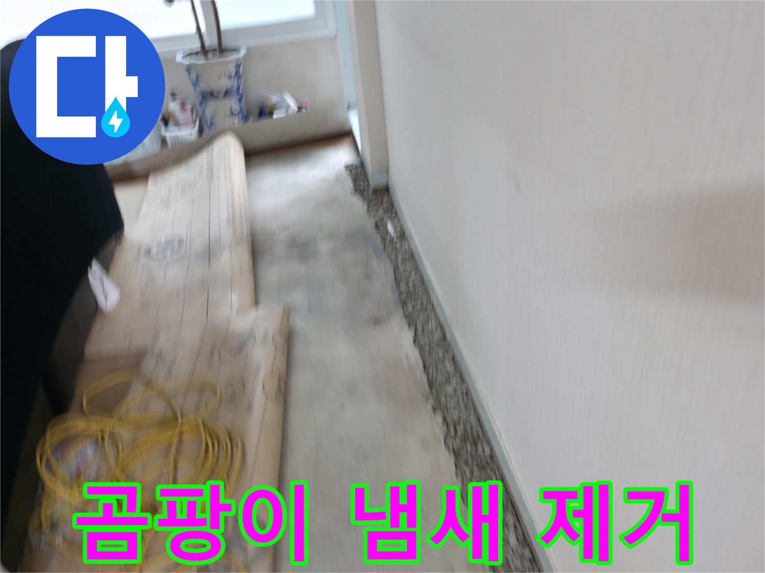 서초동 명달로4길 주택 누수 - 바닥 습기 제거 및 누수 원인 완벽 해결 - 더 이상 습기 걱정은 끝!