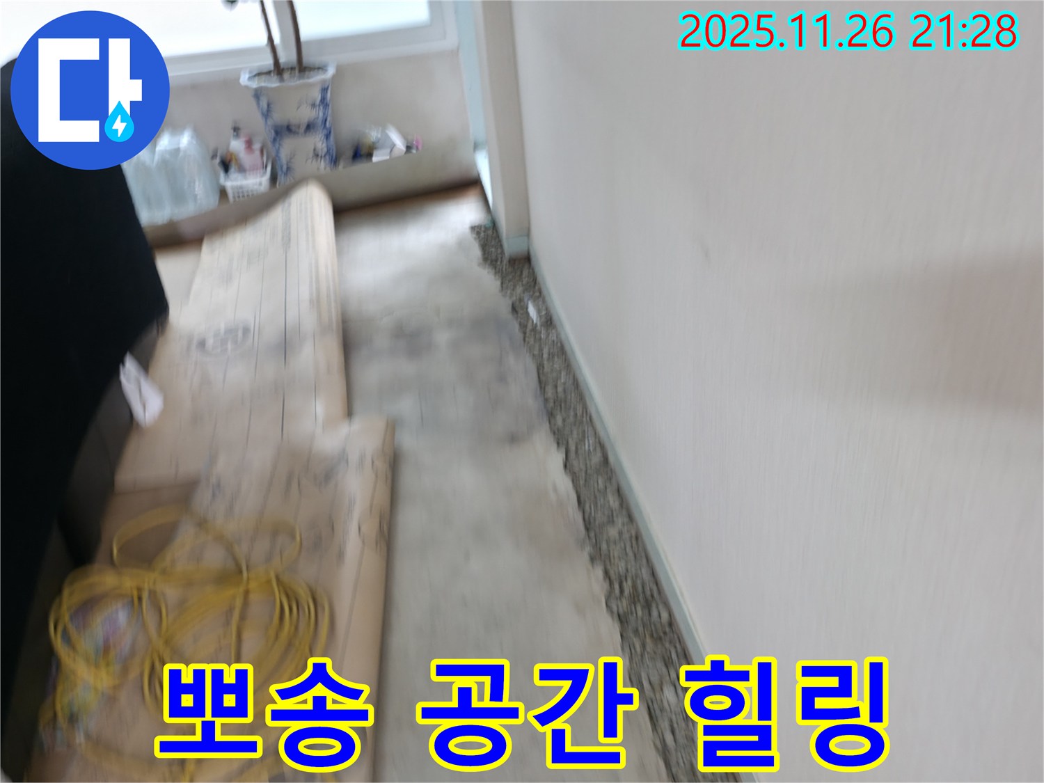 서초2동 눅눅한 장판 제거 - 뽀송뽀송한 공간에서 힐링하세요!