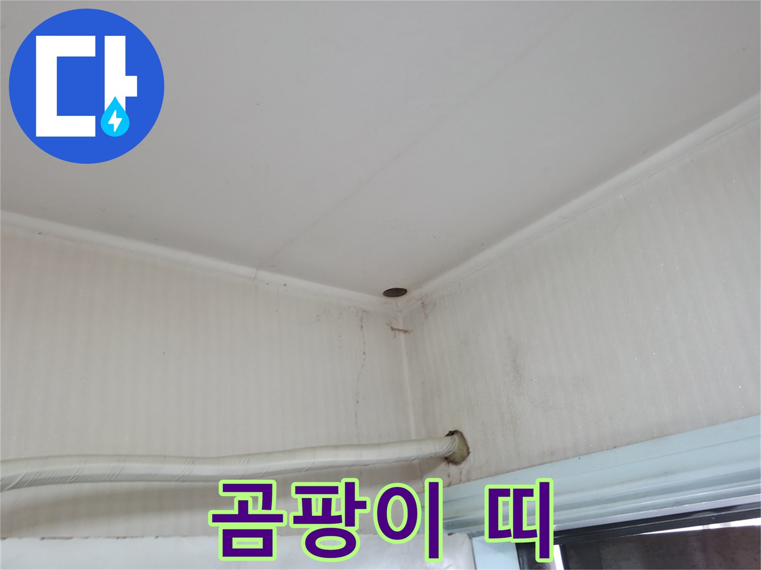서초구 서초동 누수 - 윗집 베란다에서 누수가 발생하여 우리 집 천장에 물이 떨어지고 있습니다.