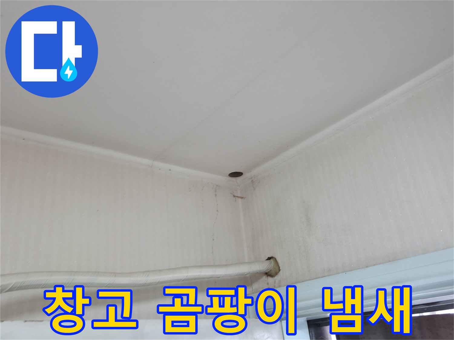 서초2동 명달로4길 창고 냄새 - 환기 불량 의심!