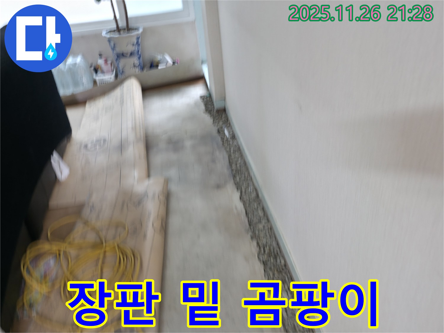 서초2동 장판 밑 곰팡이 누수 해결 - 쾌적한 보금자리로 만들어 드립니다!