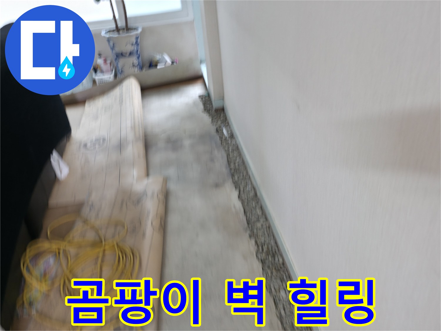 서초구 서초2동 곰팡이 핀 벽 완벽 해결 - 쾌적한 공간에서 힐링하세요!