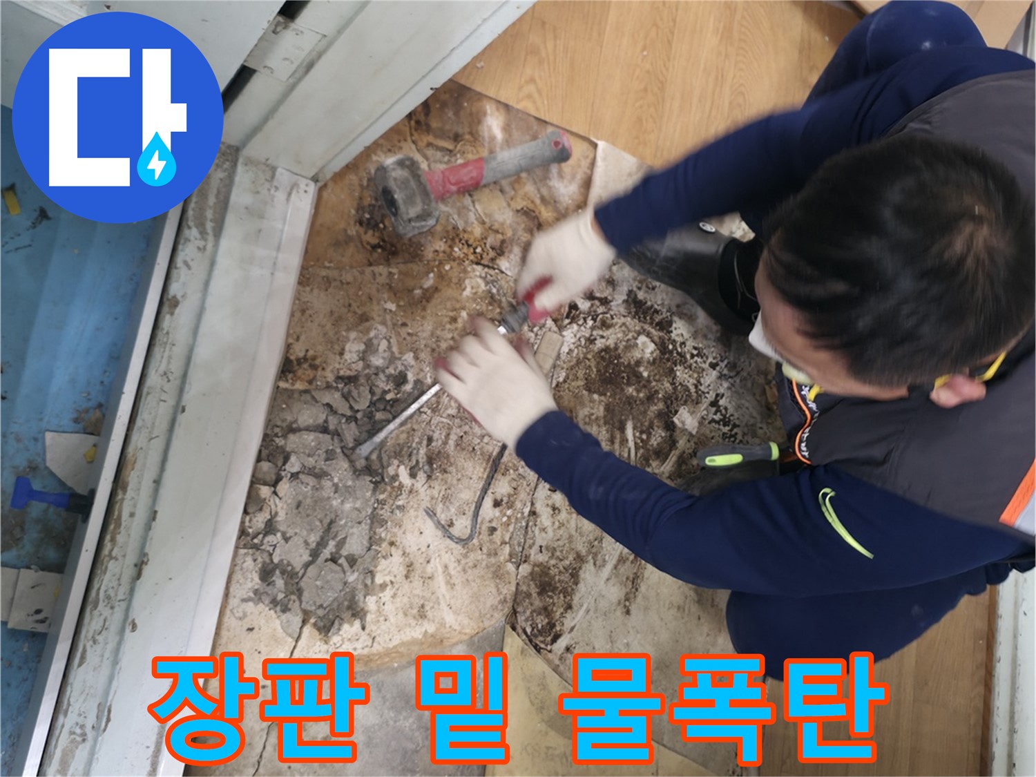 서초구 서초2동 누수 - 장판 밑 물 폭탄 발견
