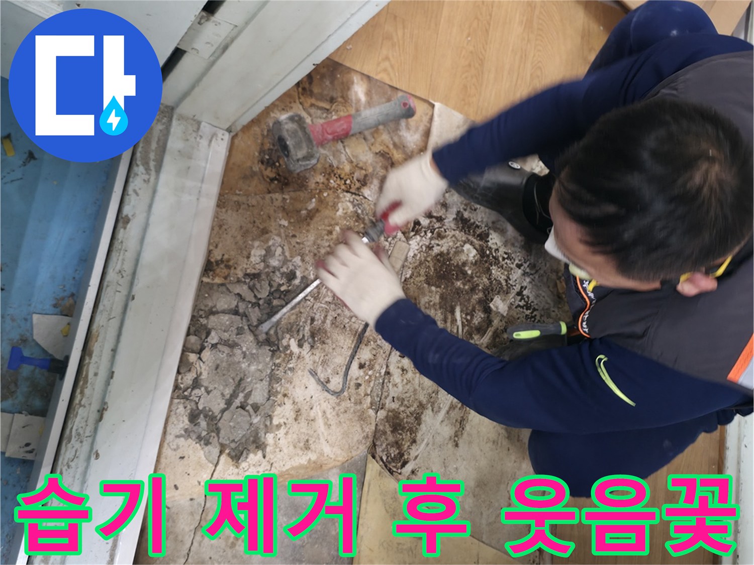 서초구 서초2동 명달로50 - 습기를 완벽하게 제거하고 뽀송뽀송해진 공간에서 웃음꽃이 활짝 핀 모습입니다 - 습기 완전 아웃! 뽀송한 웃음꽃 활짝 피었습니다!