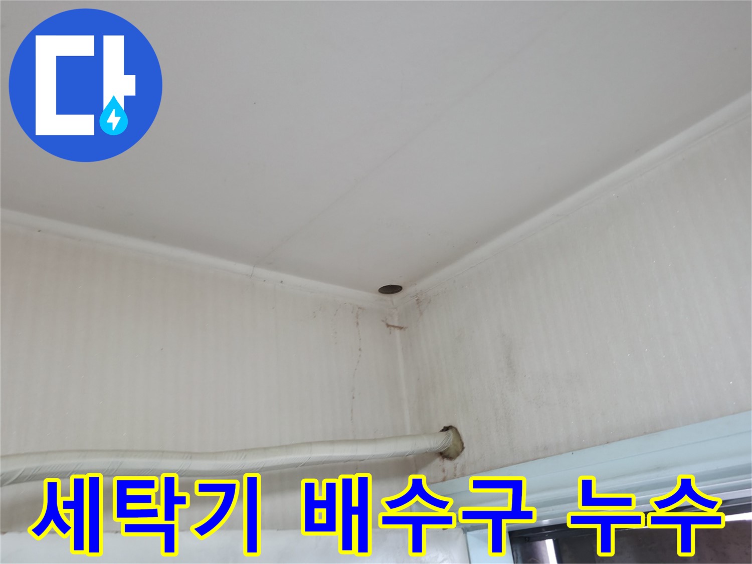 서초구 서초동 누수 - 장판 밑에 곰팡이가 슬었다면 누수를 의심해야 합니다.