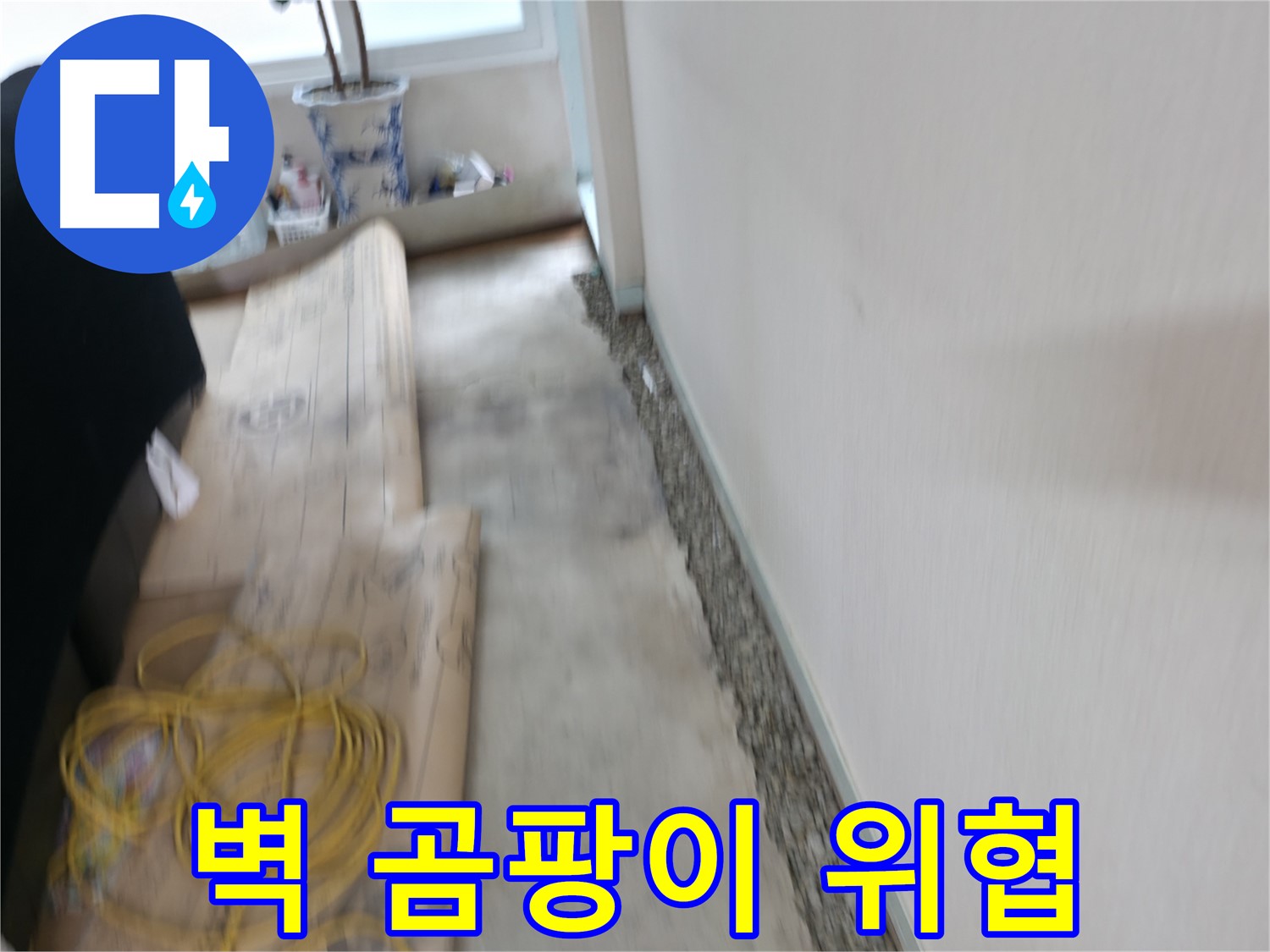 서초동 명달로4길 주택 누수 - 축축한 바닥 완벽 해결 - 더 이상 곰팡이 걱정은 끝!