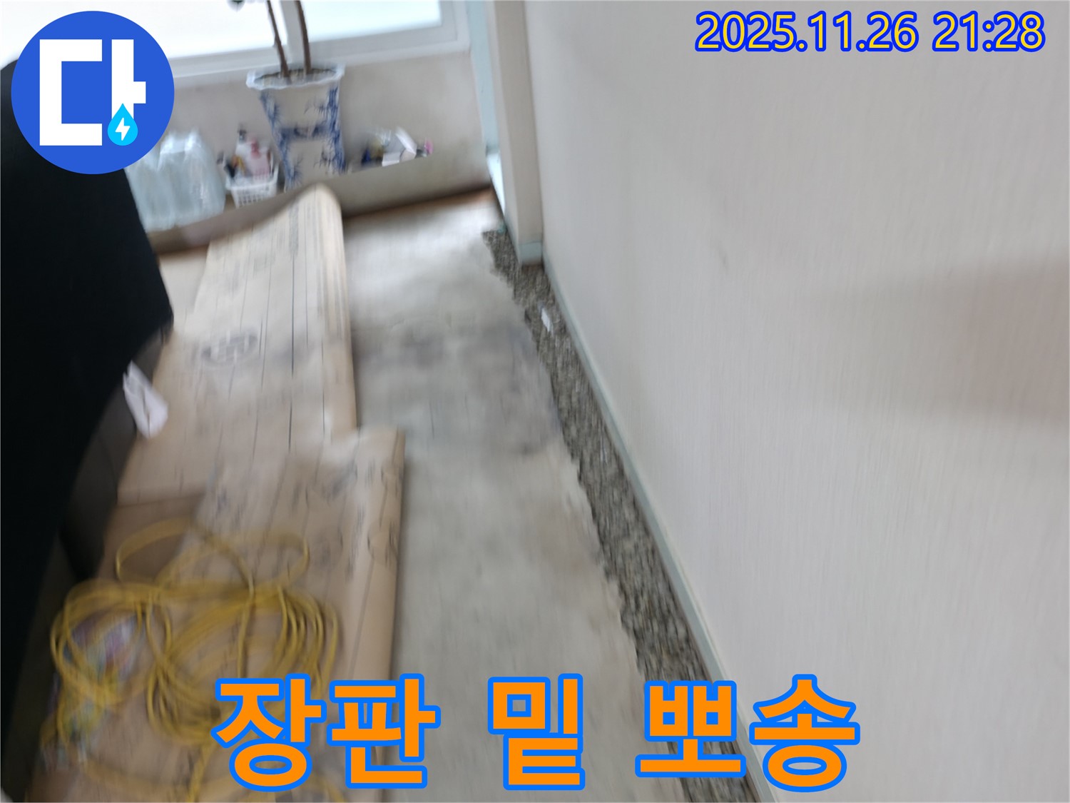 서초구 서초동 장판 밑 습기 제거 - 누수 해결로 뽀송한 공간 되찾기!