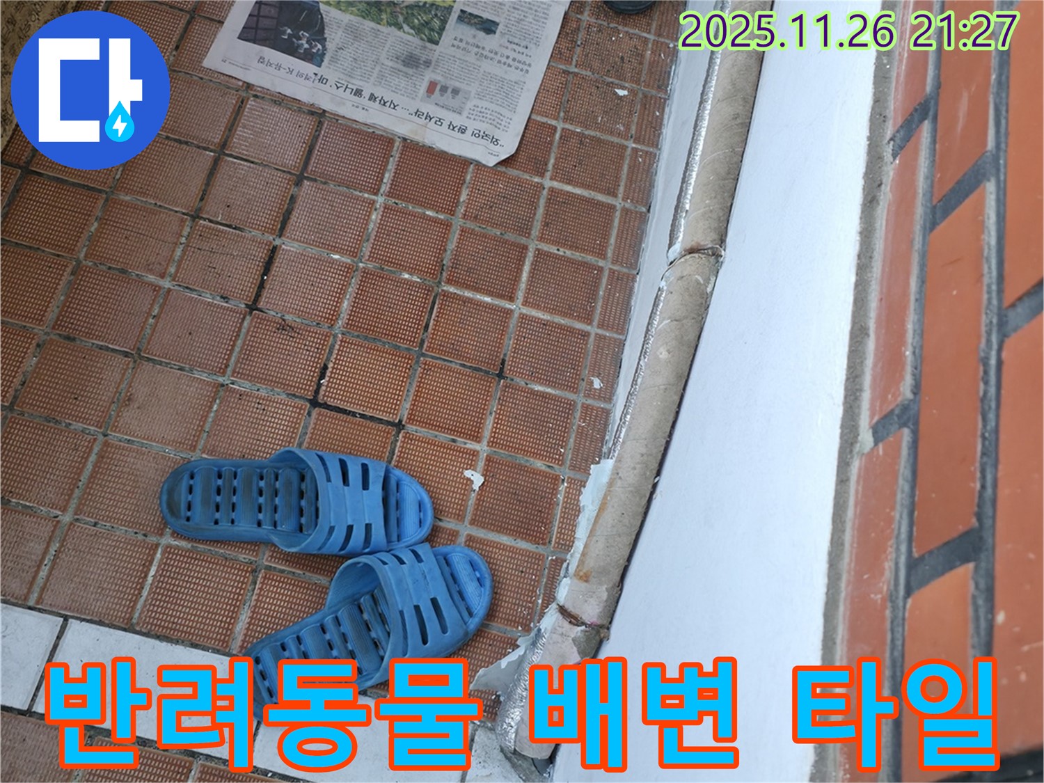 서초구 서초동 현관 누수 현장 - 반려동물 배변으로 인한 타일 부식 및 틈새 발생