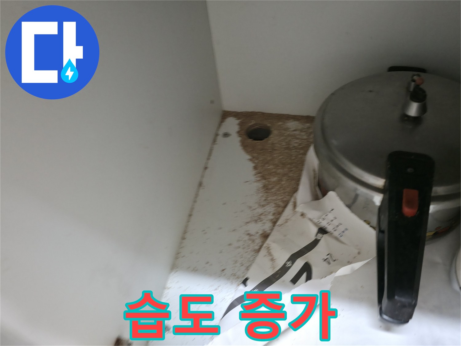 싱크대 밑 - 톱밥 - 습도 증가 - 곰팡이 번식 위험