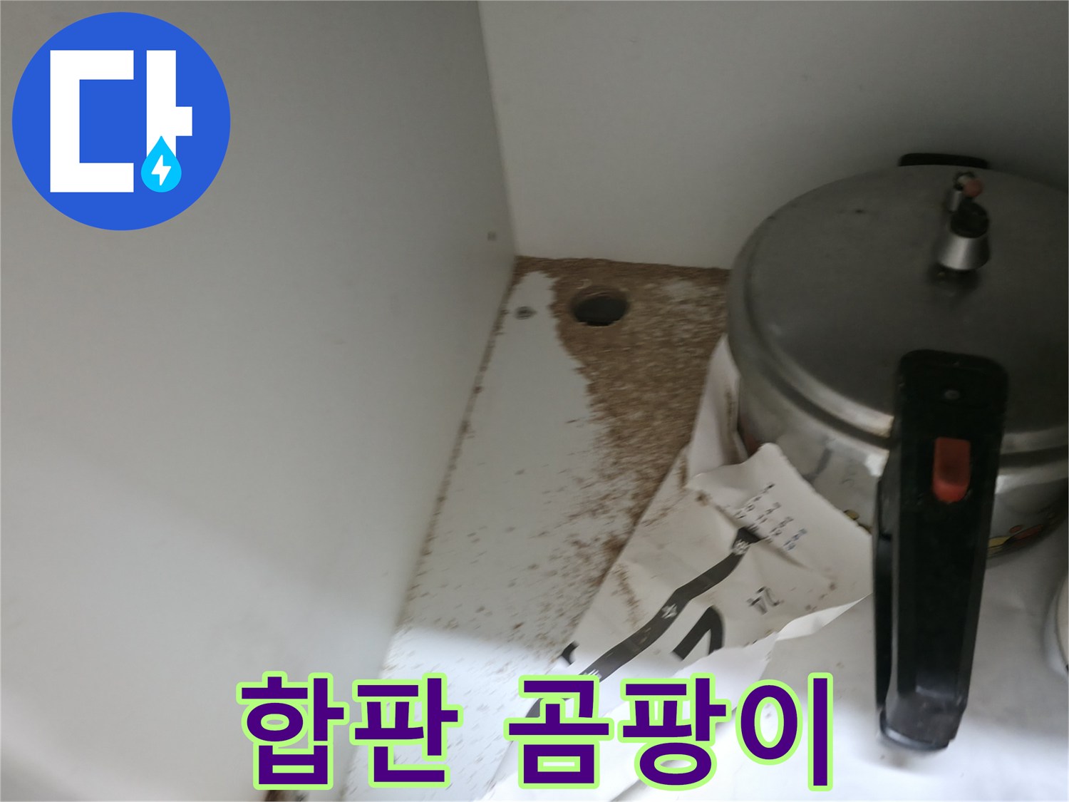 싱크대 하부 - 합판 곰팡이 - 습기 - 빠른 해결