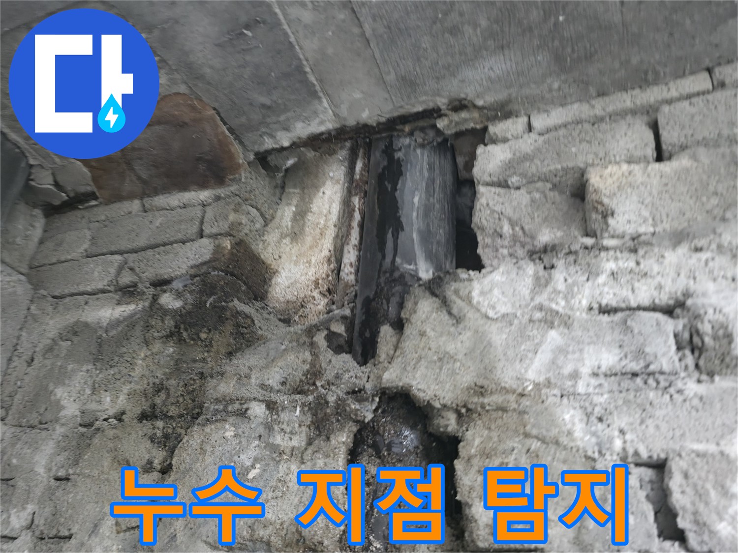 벽면 누수 - 곰팡이 독성 물질 검출 및 건강 적신호