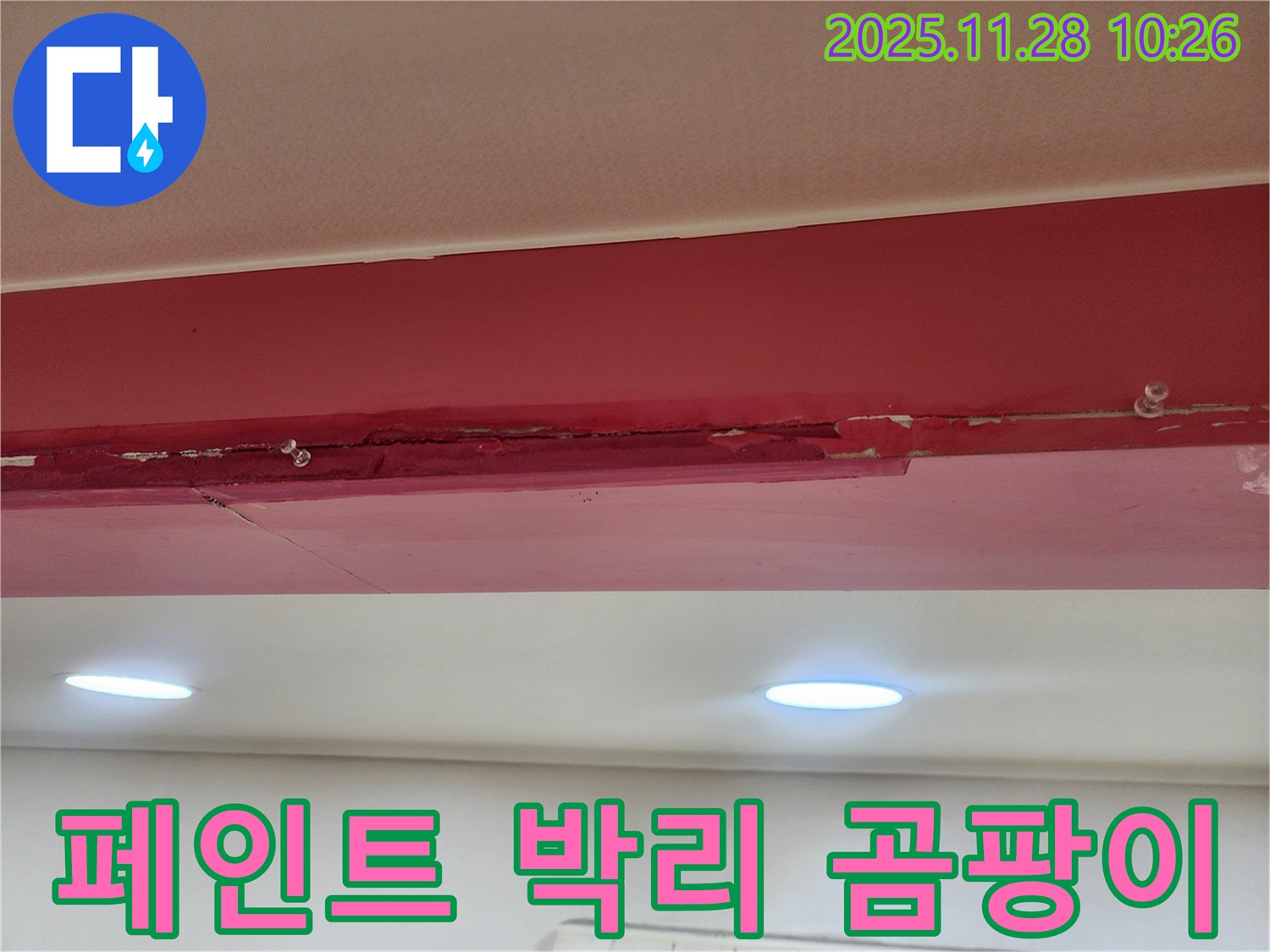 붉은색 천장 페인트 박리 곰팡이 - 누수로 인해 페인트가 완전히 떨어져 나가고, 콘크리트 위에 곰팡이가 흉측하게 피어있는 모습입니다.